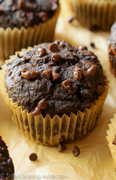 Chocolate Pumpkin Muffins
 chocolate pumpkin muffins