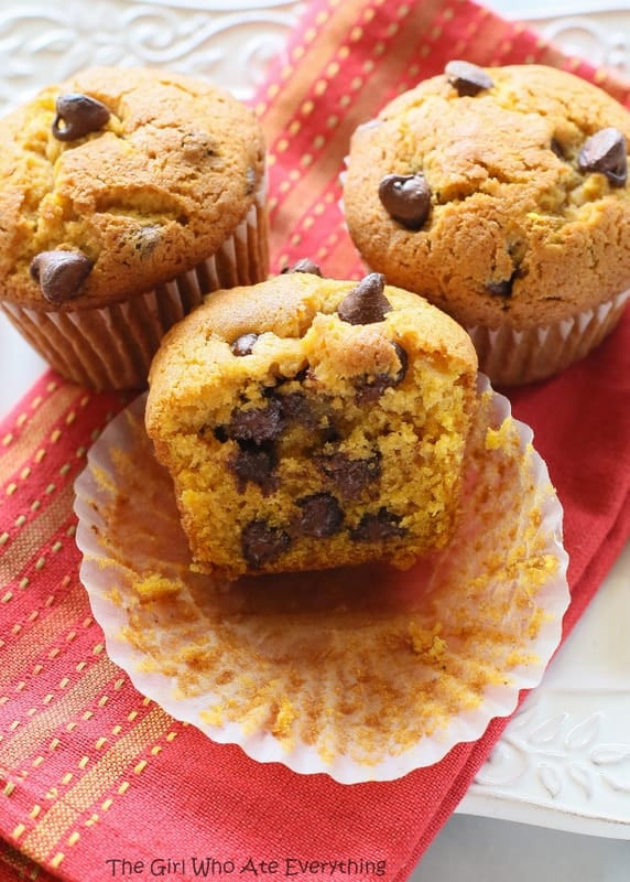 Chocolate Pumpkin Muffins
 Pumpkin Chocolate Chip Muffins