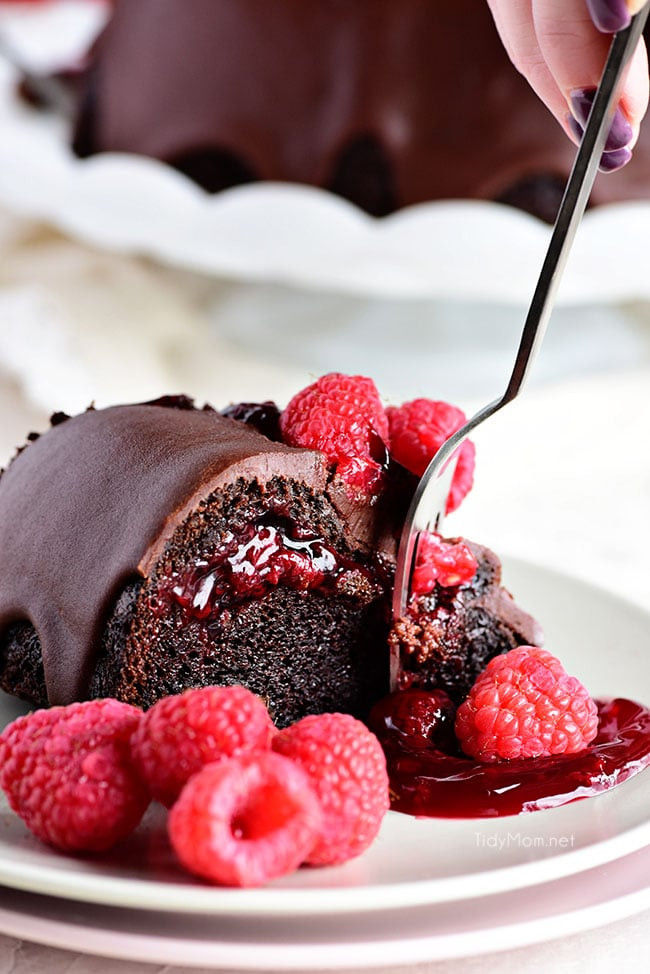Chocolate Raspberry Cake
 Chocolate Raspberry Bundt Cake