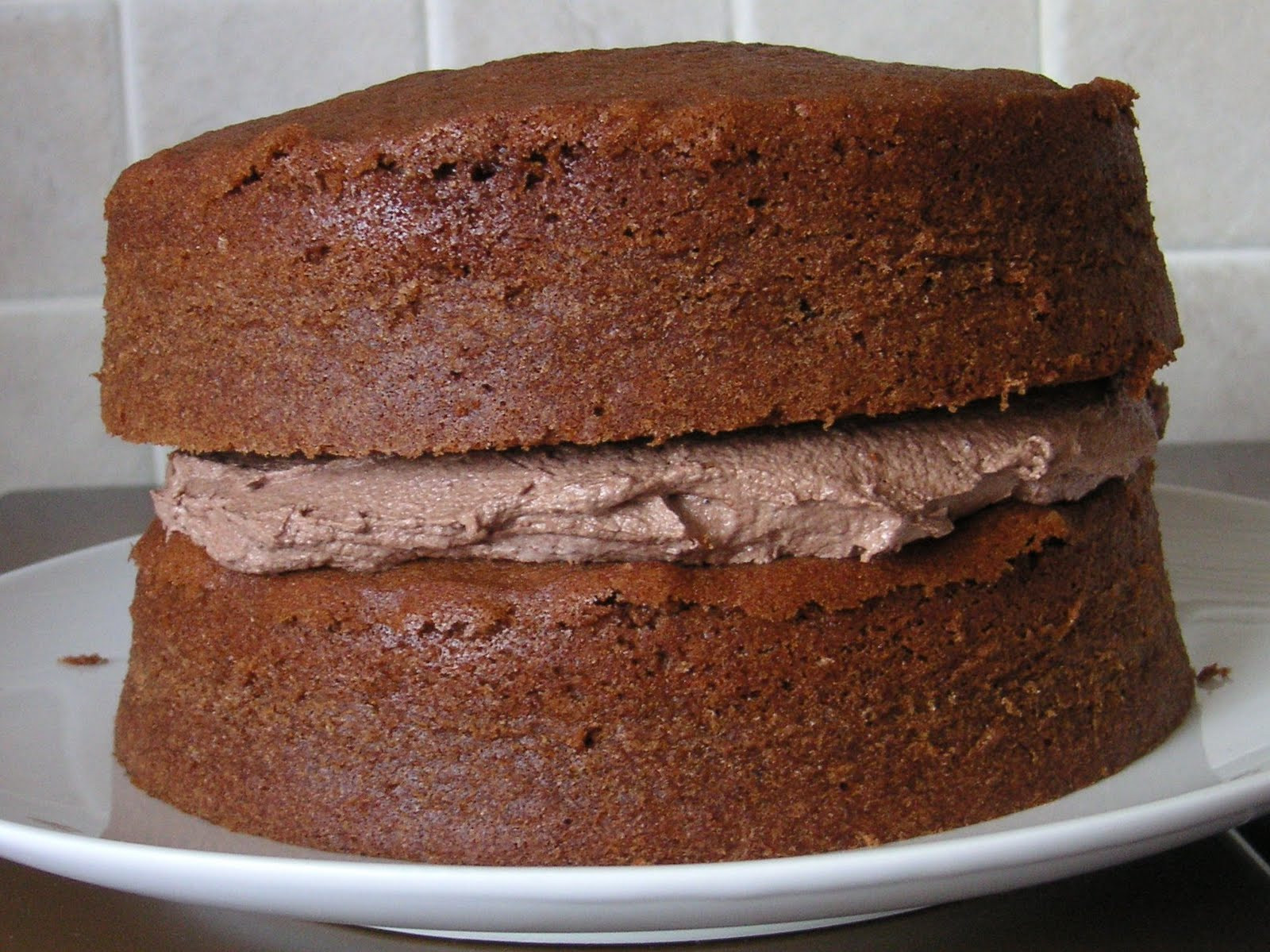 Chocolate Sponge Cake
 The Caked Crusader Chocolate sponge cake with chocolate