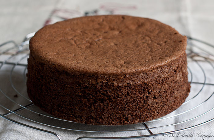 Chocolate Sponge Cake
 Sponge Cake Genoise Chocolat Recipe The Delectable