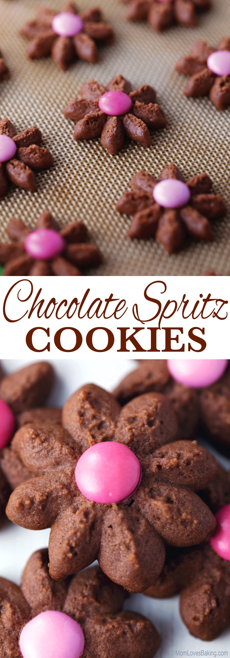 Chocolate Spritz Cookies
 Chocolate Spritz Cookies Mom Loves Baking