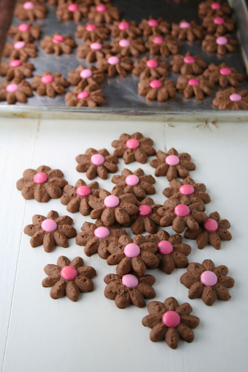 Chocolate Spritz Cookies
 Chocolate Spritz Cookies s and for