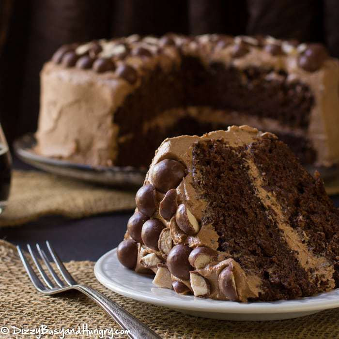 Chocolate Stout Cake
 Malted Chocolate Stout Cake WeekdaySupper