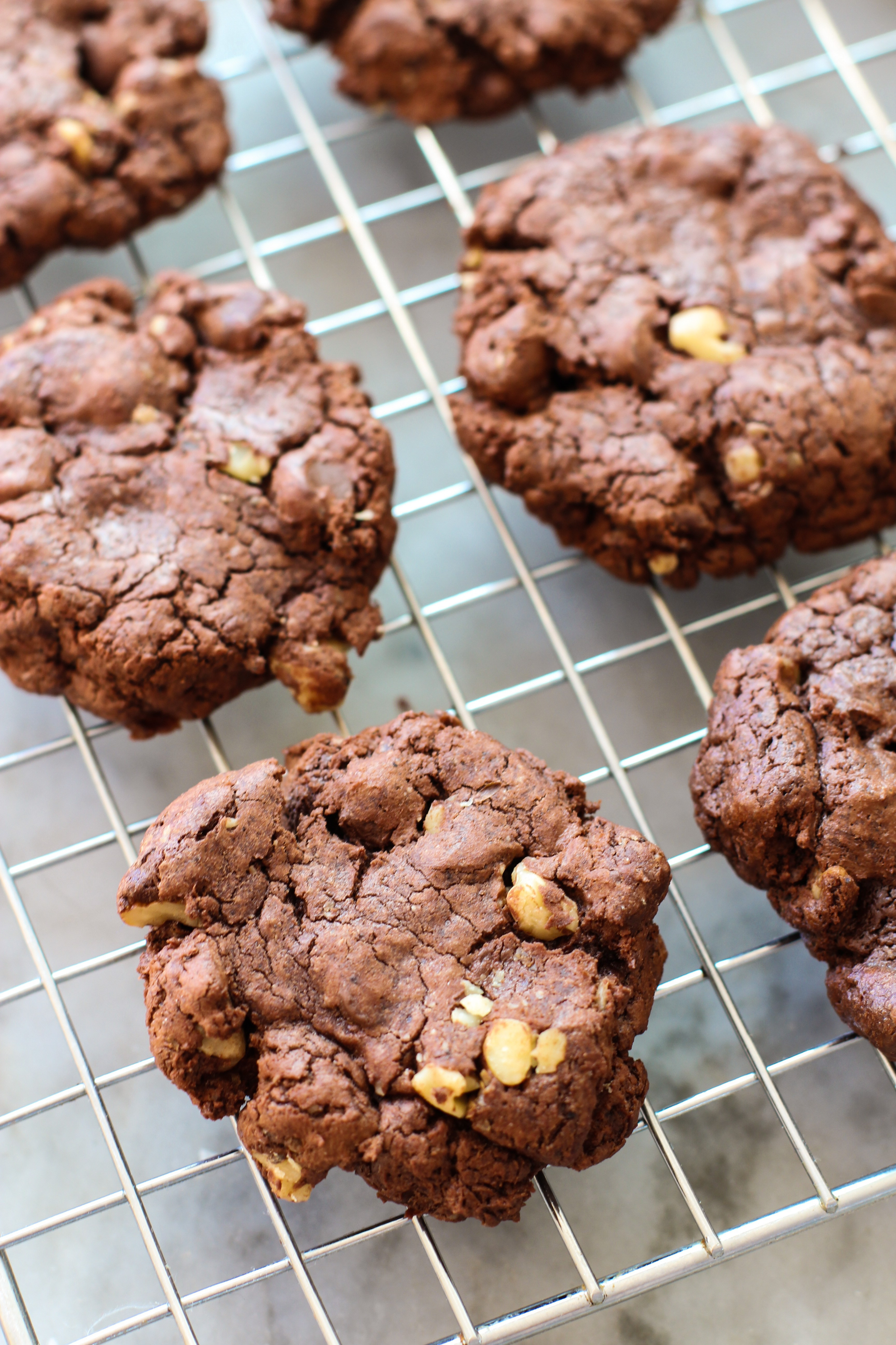 Chocolate Walnut Cookies
 double chocolate walnut cookies and the great food blogger