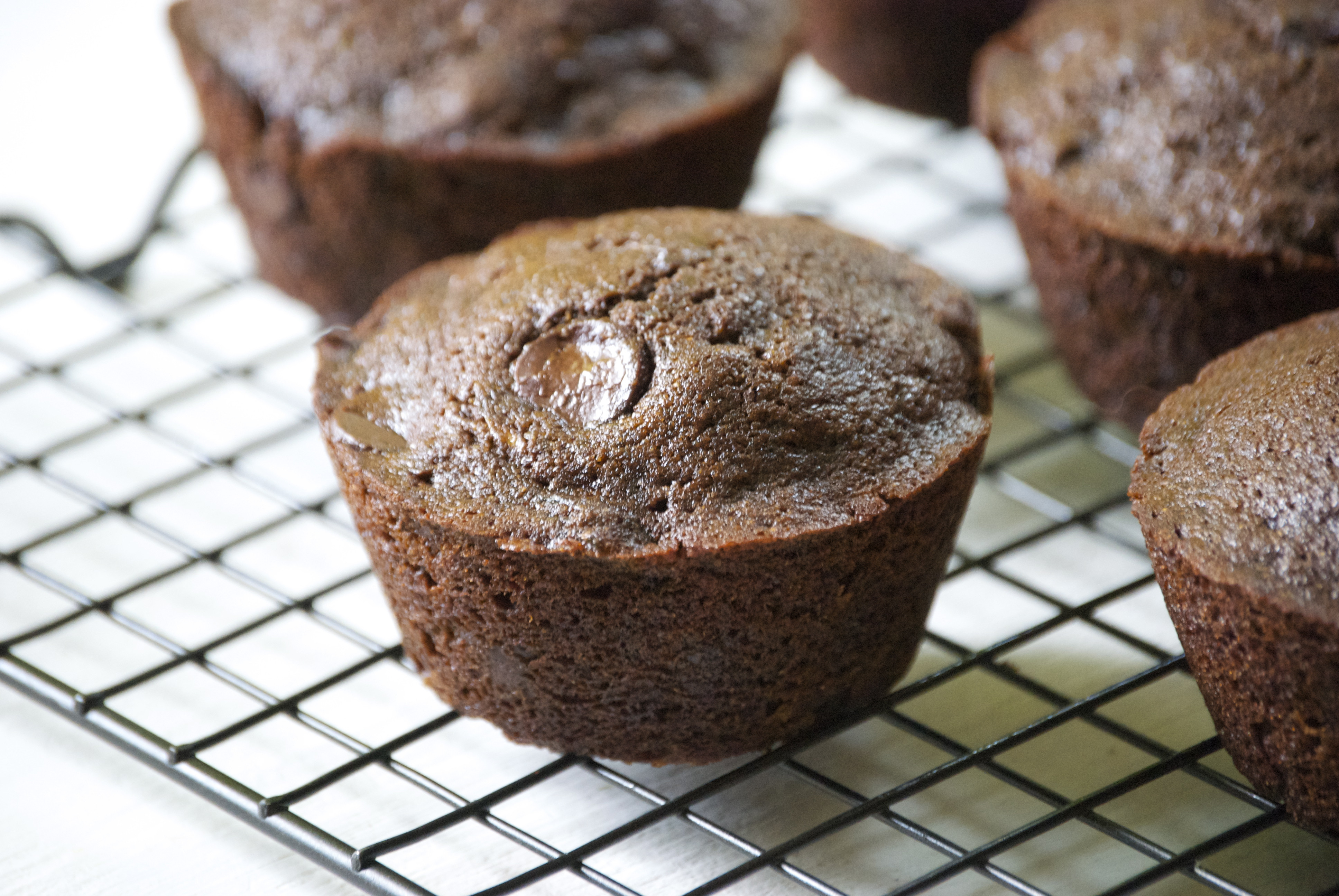 Chocolate Zucchini Muffins
 Healthy Chocolate Zucchini Muffins