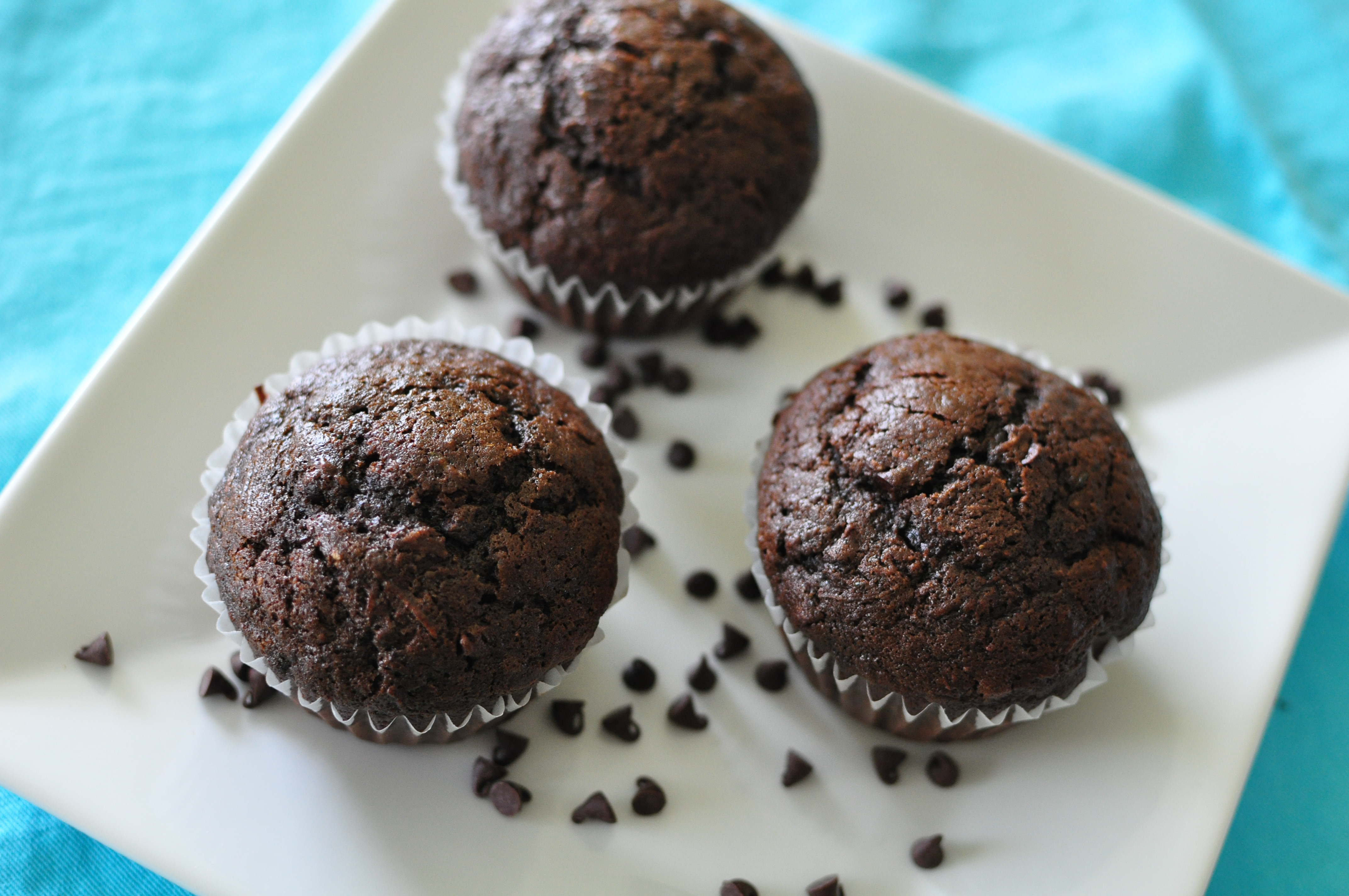 Chocolate Zucchini Muffins
 Chocolate Zucchini Muffins Meg s Everyday Indulgence