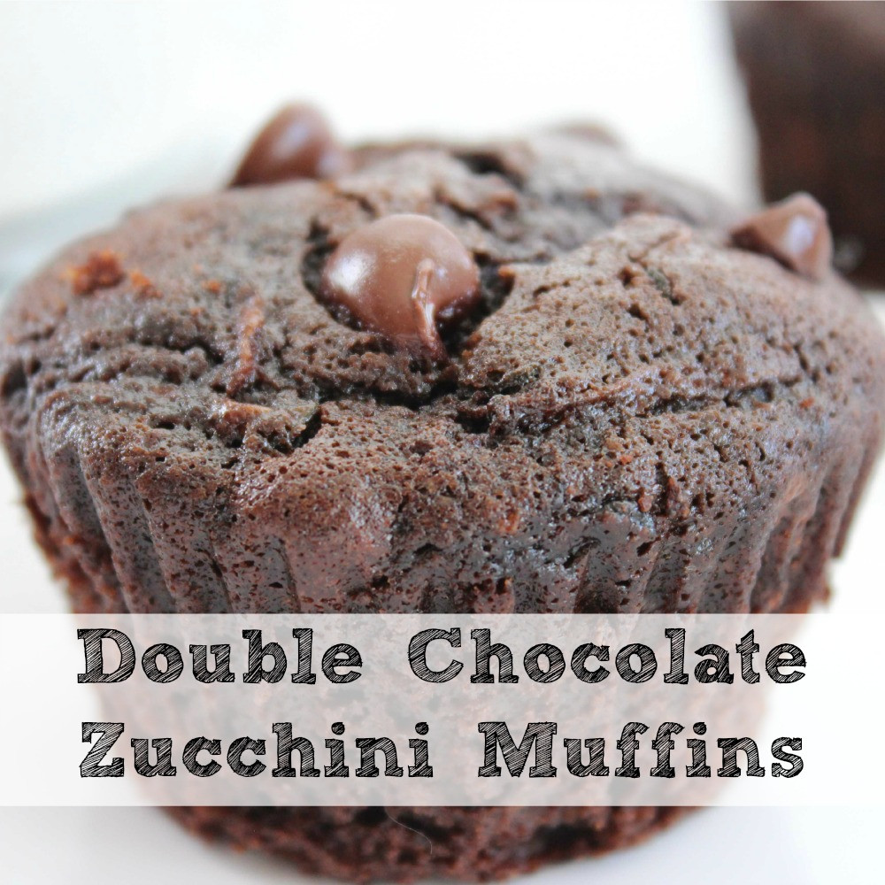 Chocolate Zucchini Muffins
 Double Chocolate Zucchini Muffin Recipe