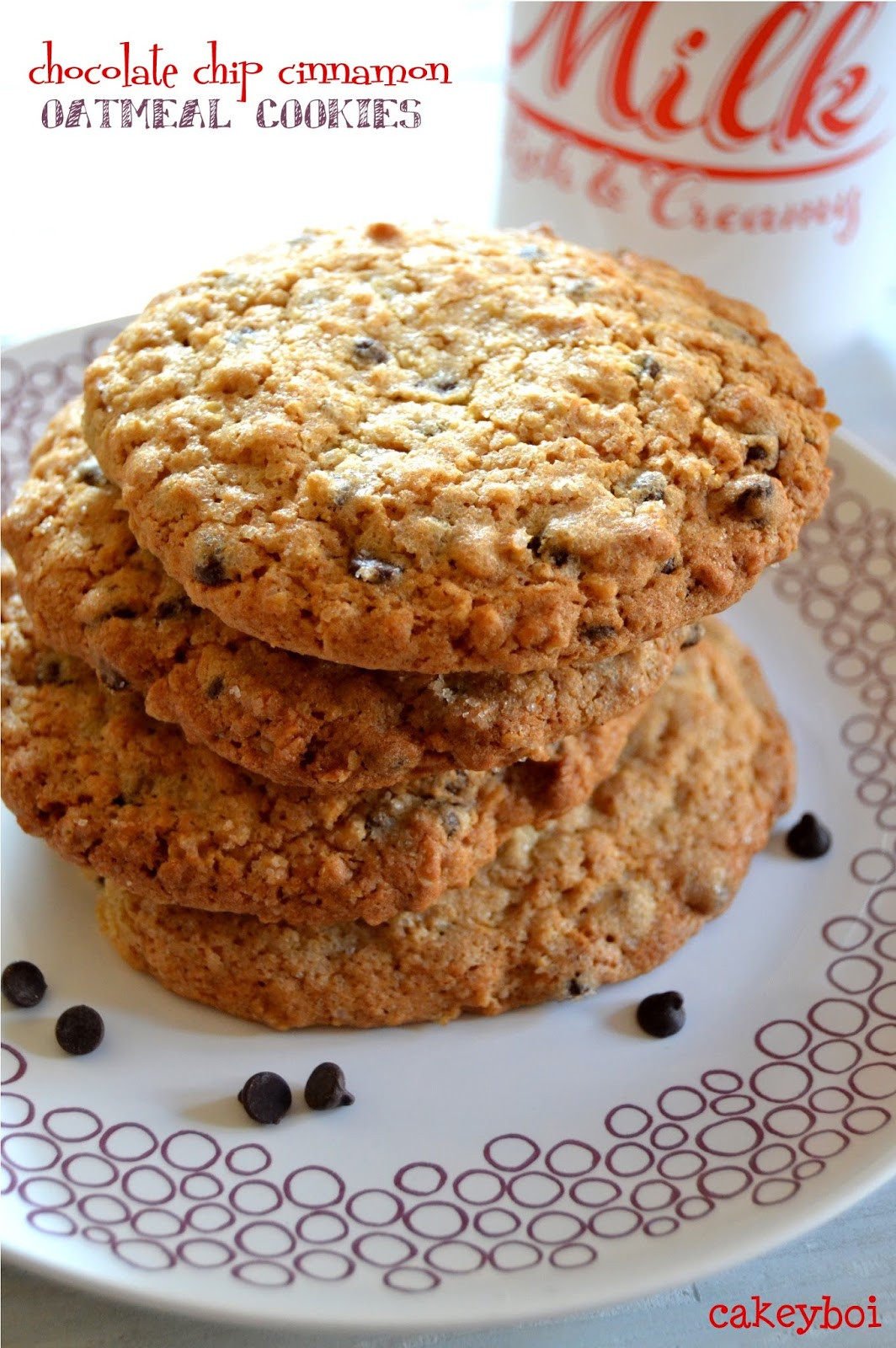 Cinnamon Oatmeal Cookies
 Cakeyboi Classic Chocolate Chip Cinnamon Oatmeal Cookies