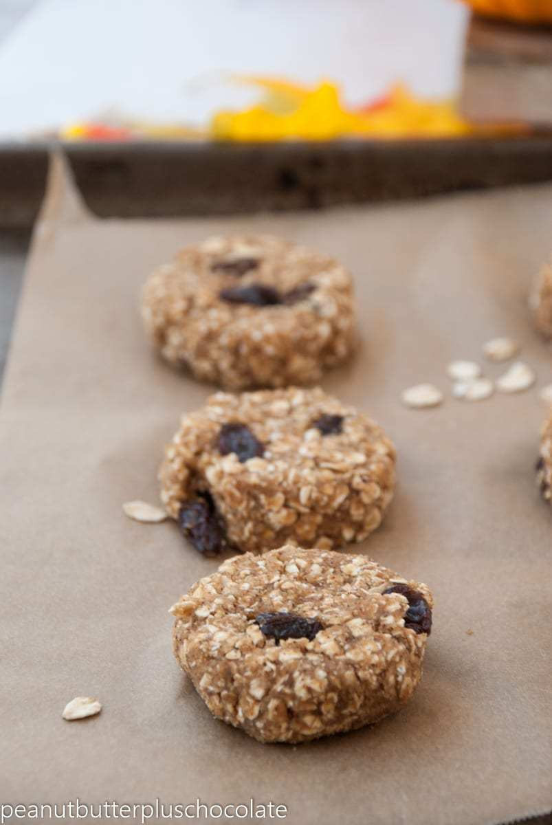 Cinnamon Oatmeal Cookies
 Cinnamon Raisin Oatmeal Cookies — Peanut Butter Plus Chocolate