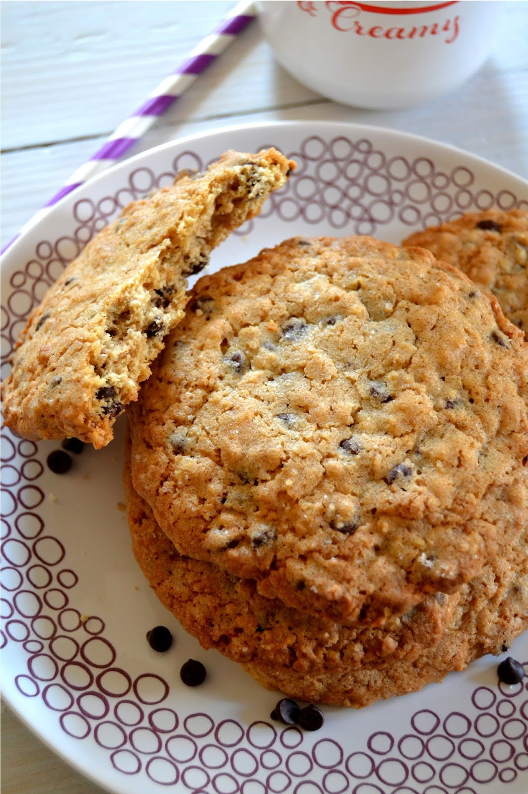 Cinnamon Oatmeal Cookies
 Cakeyboi Classic Chocolate Chip Cinnamon Oatmeal Cookies