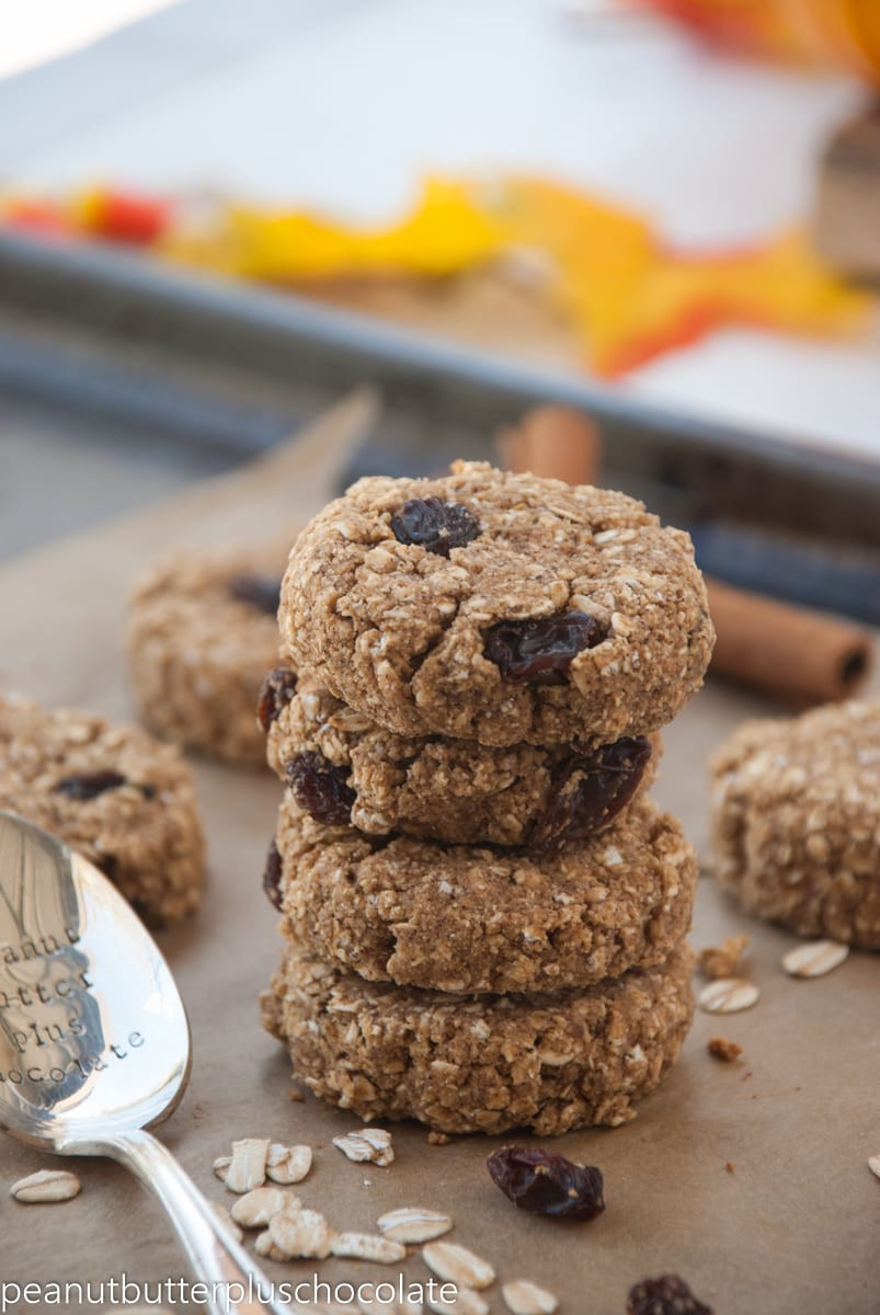 Cinnamon Oatmeal Cookies
 Cinnamon Raisin Oatmeal Cookies — Peanut Butter Plus Chocolate