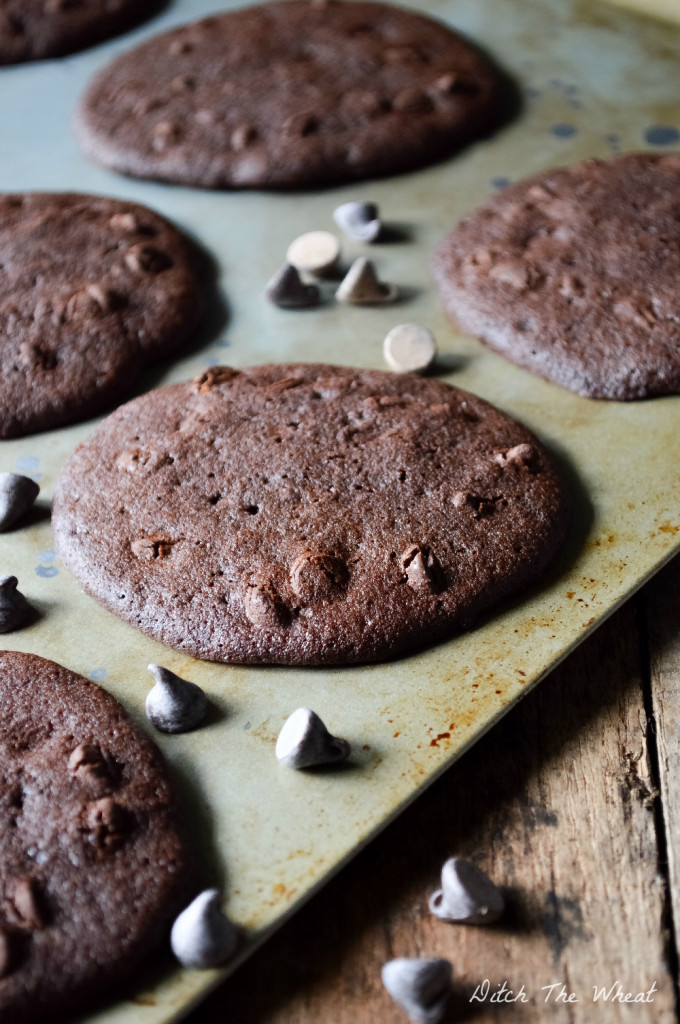Cocoa Powder Cookies
 Double Chocolate Chip Coconut Flour Cookies