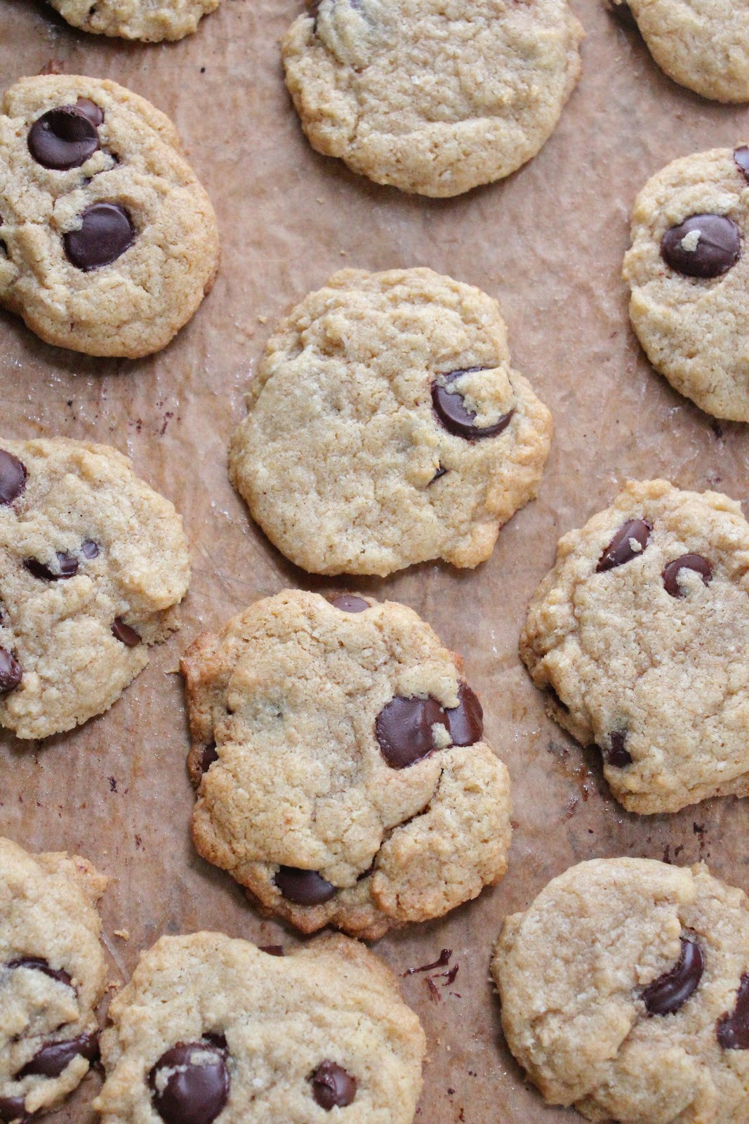 Coconut Chocolate Chip Cookies
 coconut chocolate chip cookie