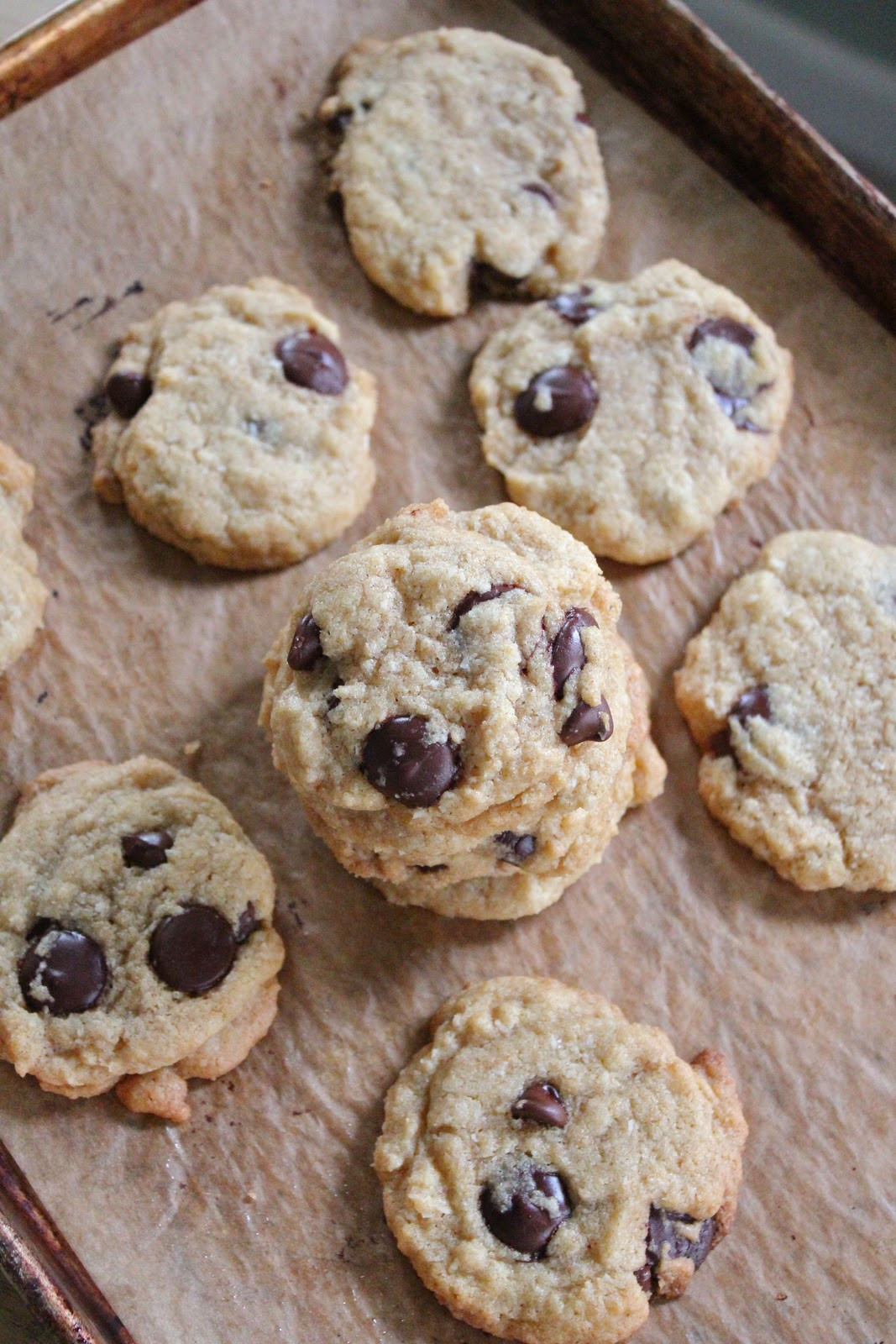 Coconut Chocolate Chip Cookies
 coconut chocolate chip cookie