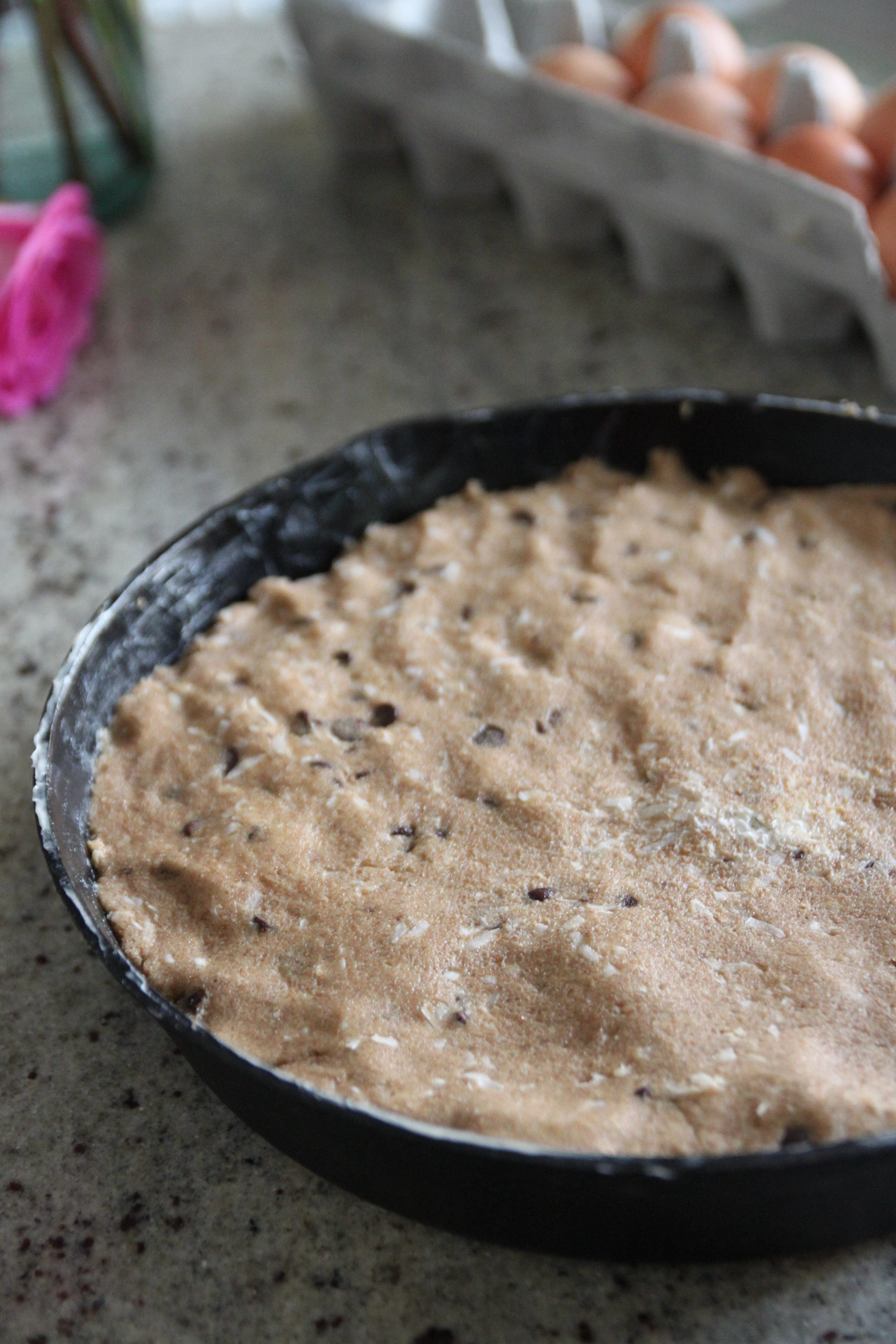 Coconut Chocolate Chip Cookies
 Whole Wheat Coconut Chocolate Chip Cookie Cake – Bran Appetit