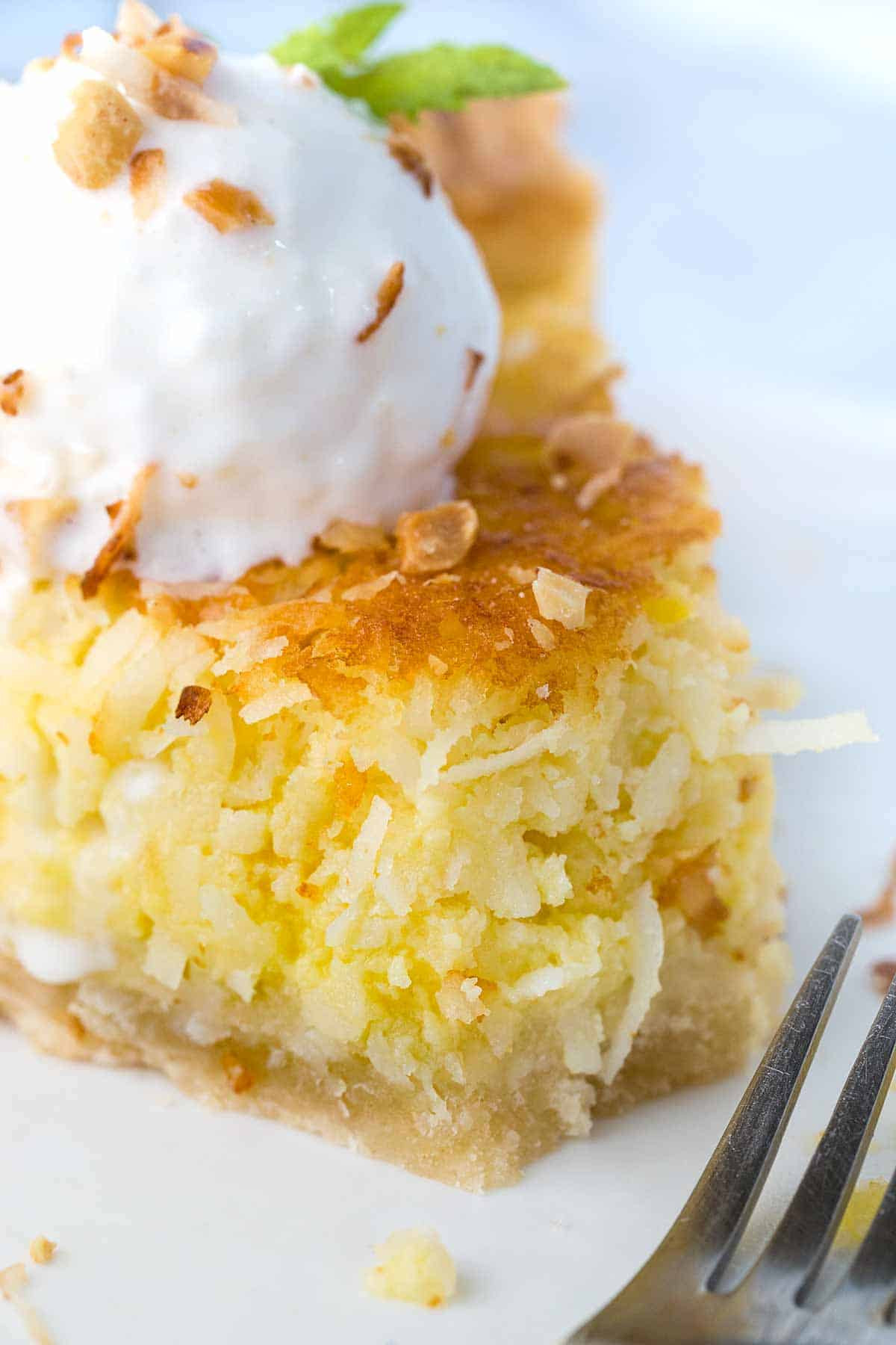 Coconut Custard Pie Recipe
 Coconut Custard Pie Recipe Jessica Gavin