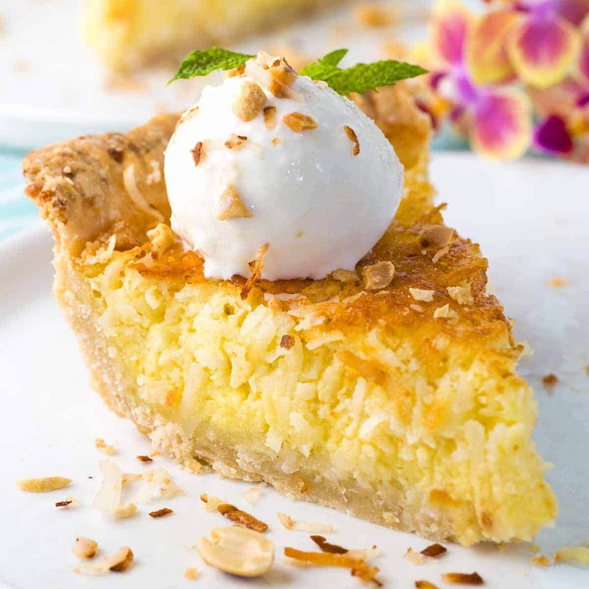 Coconut Custard Pie Recipe
 Coconut Custard Pie Recipe