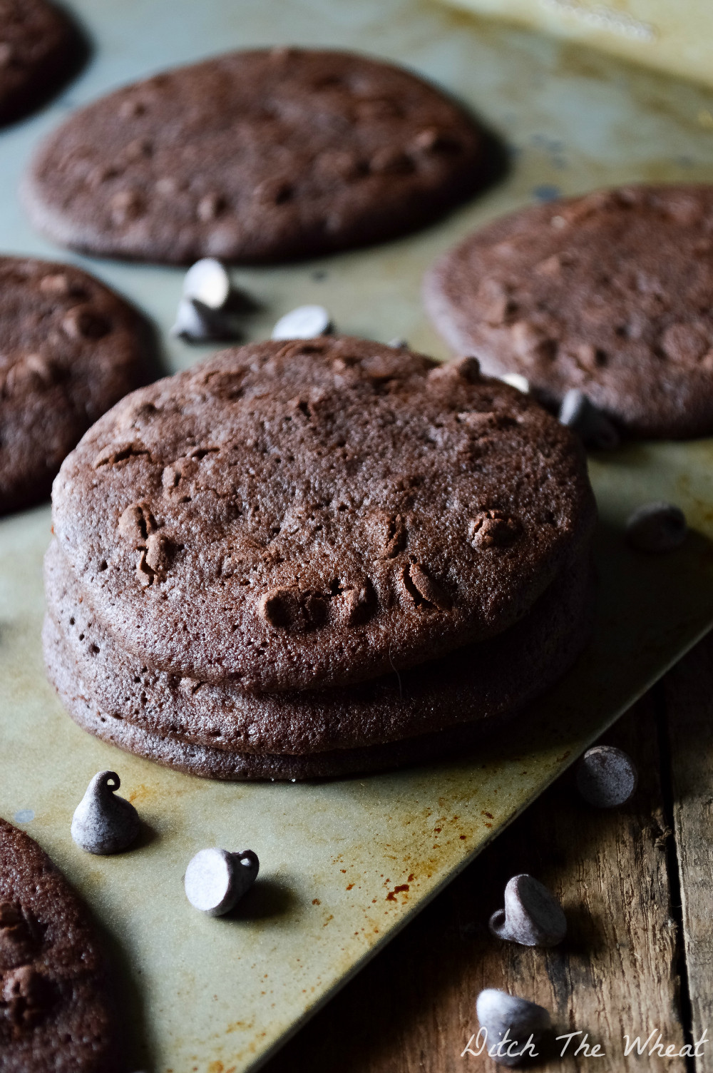 Coconut Flour Chocolate Chip Cookies
 Double Chocolate Chip Coconut Flour Cookies