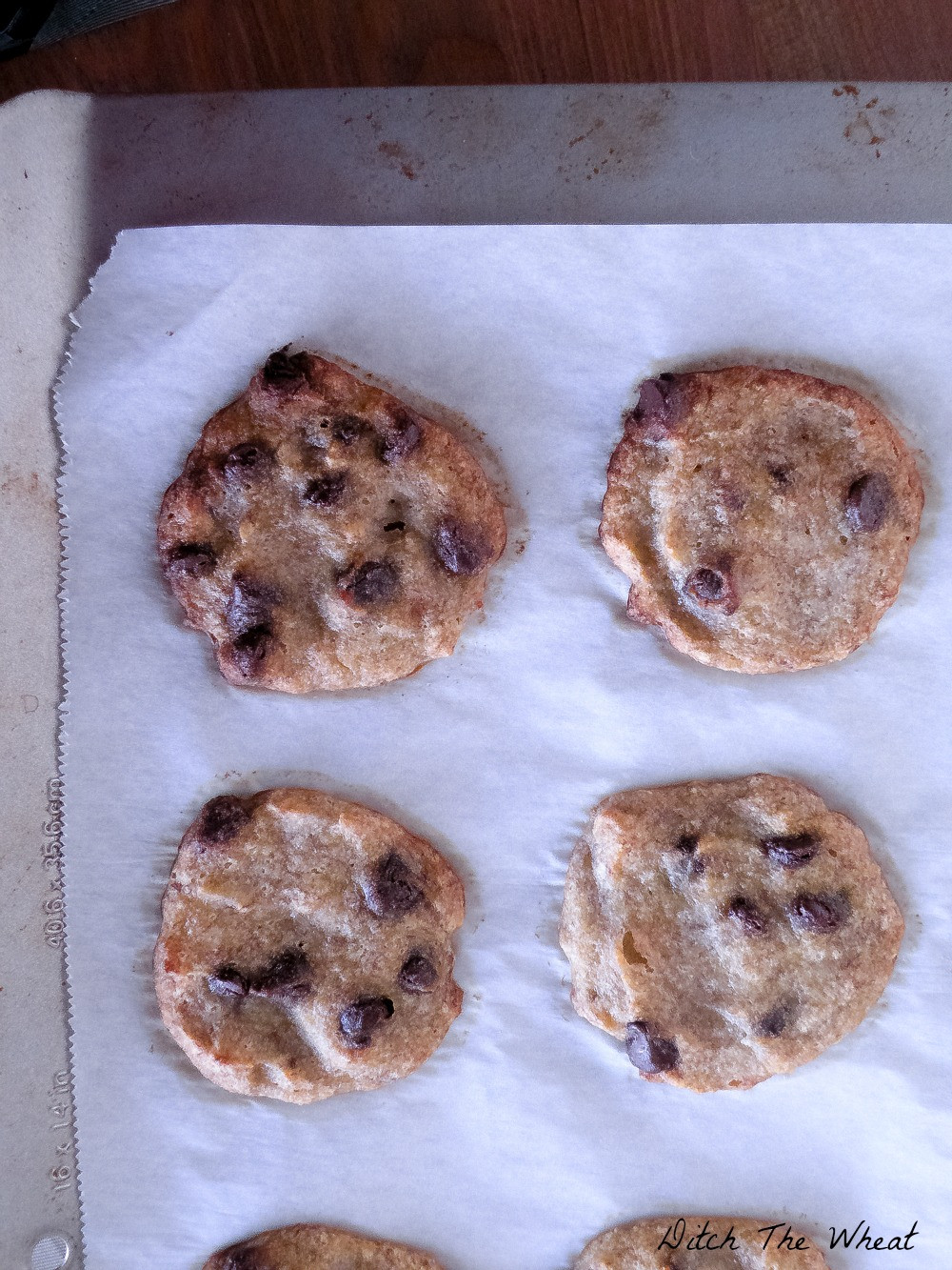 Coconut Flour Chocolate Chip Cookies
 Coconut Flour Chocolate Chip Banana Cookies