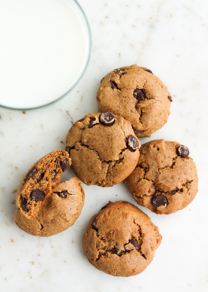 Coconut Flour Chocolate Chip Cookies
 Paleo Coconut Flour Chocolate Chip Cookies