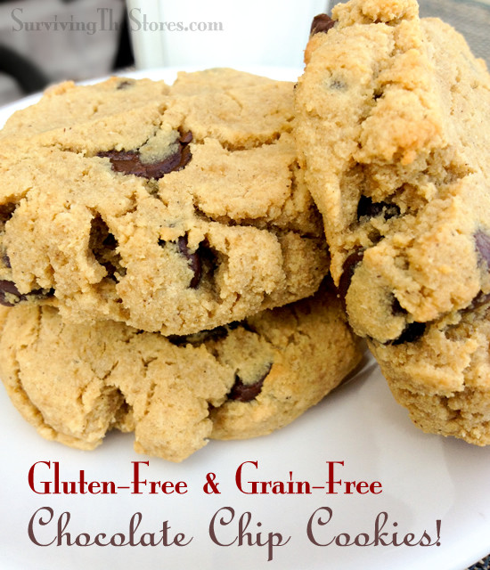 Coconut Flour Chocolate Chip Cookies
 Gluten Free & Grain Free Chocolate Chip Cookies