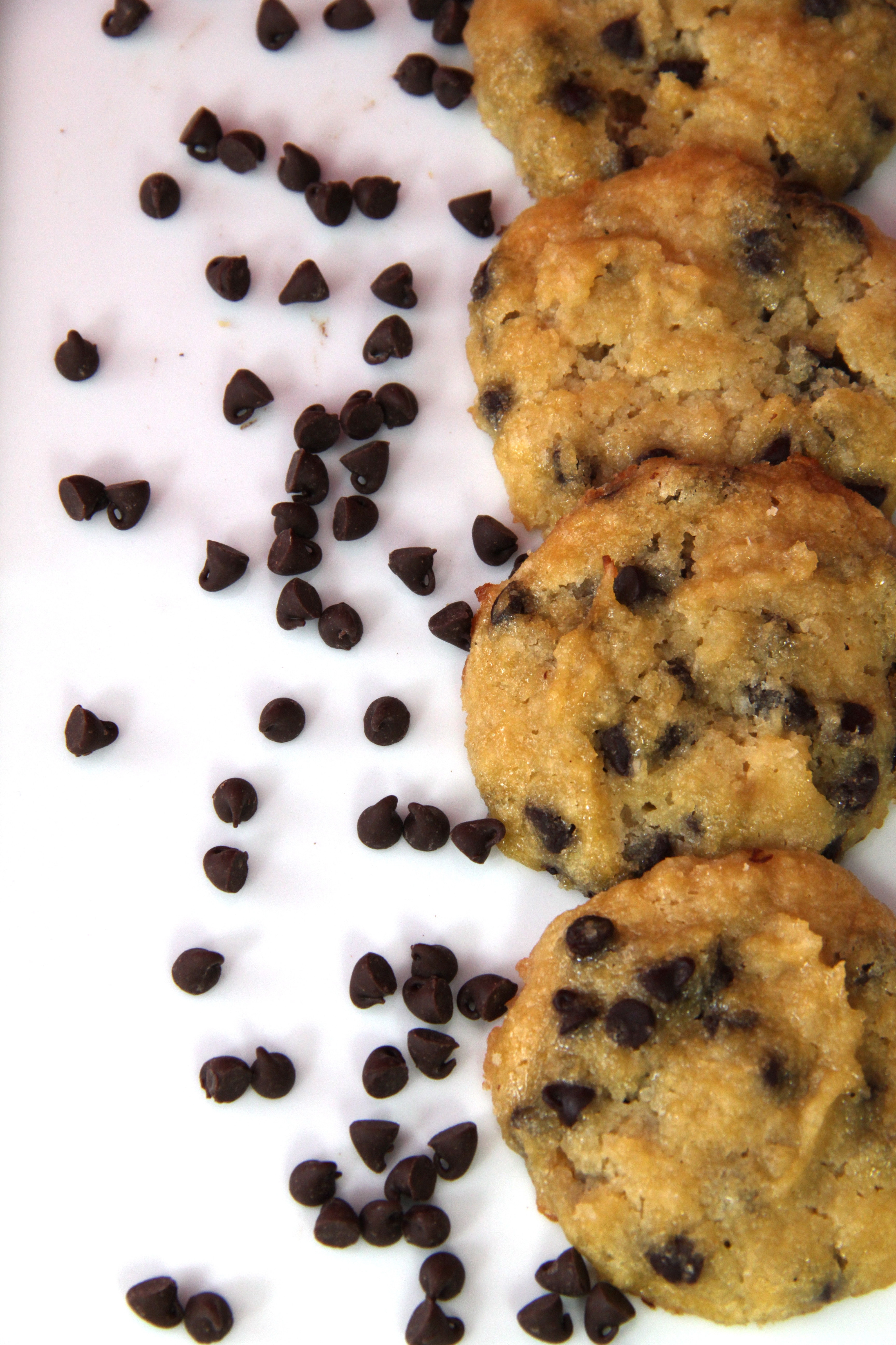 Coconut Flour Chocolate Chip Cookies
 Coconut Flour Chocolate Chip Cookies