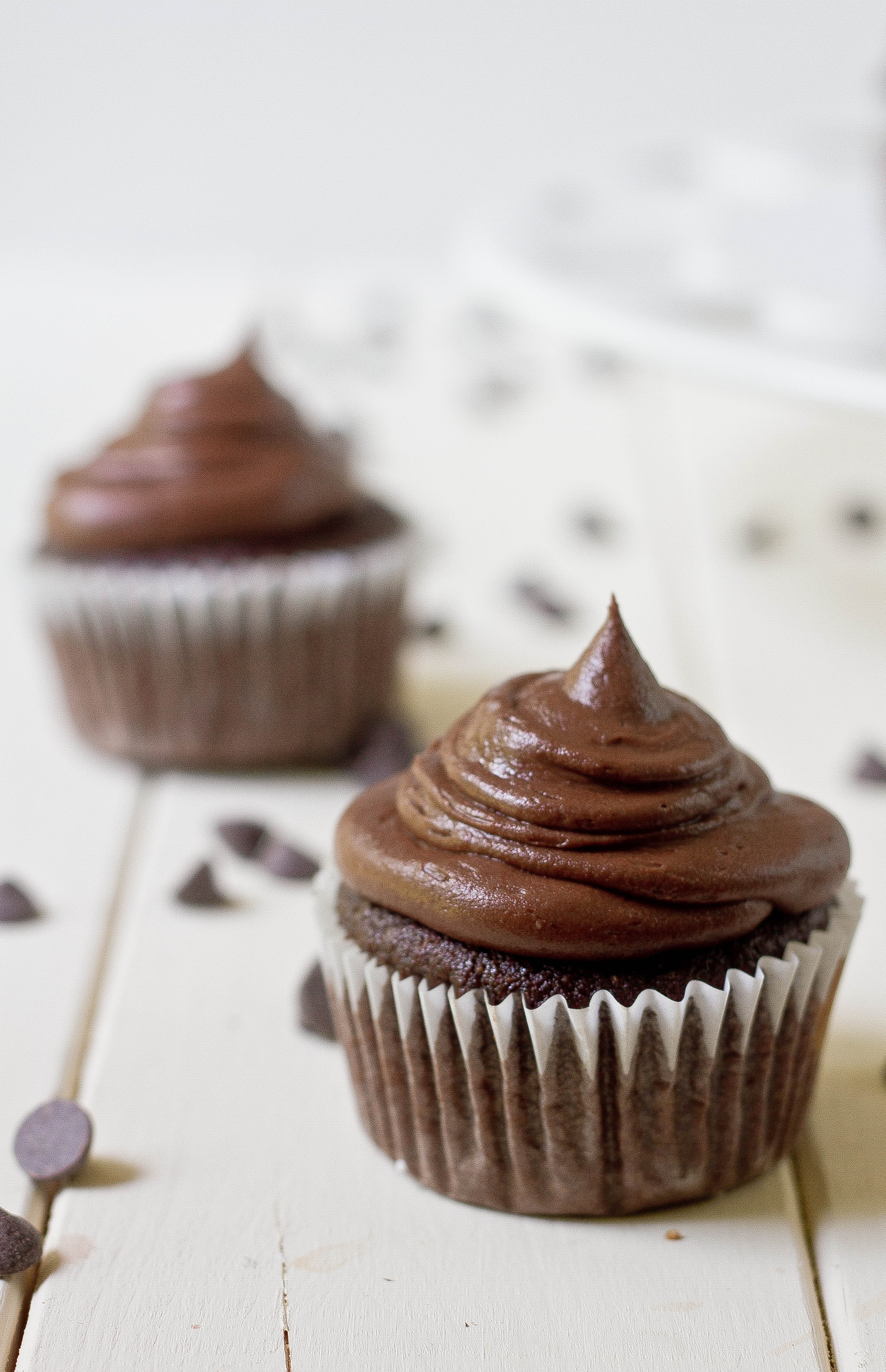 Coconut Flour Cupcakes
 Paleo Chocolate Cupcakes