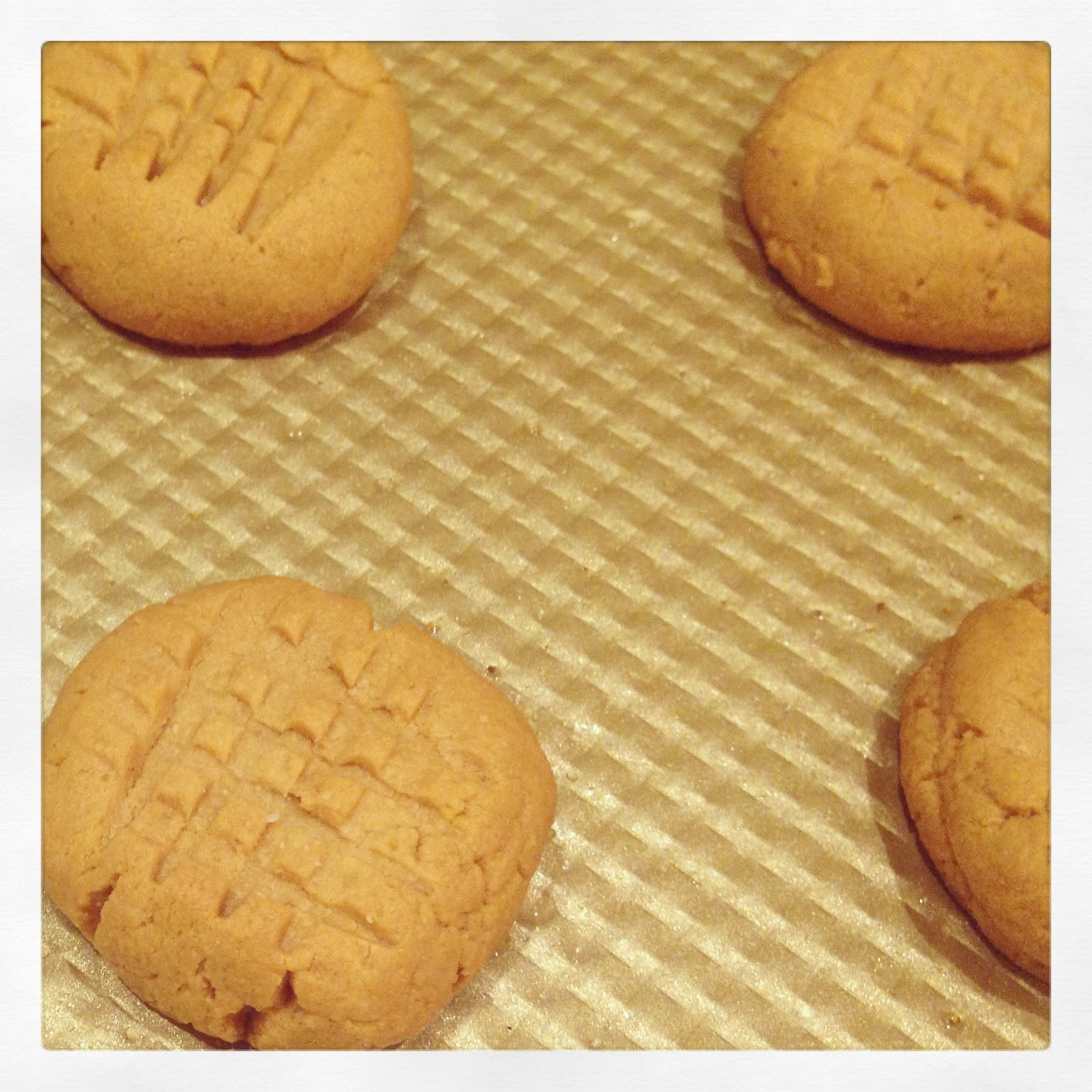 Coconut Flour Peanut Butter Cookies
 Paleo Recipe Love Paleo Peanut Butter Cookies