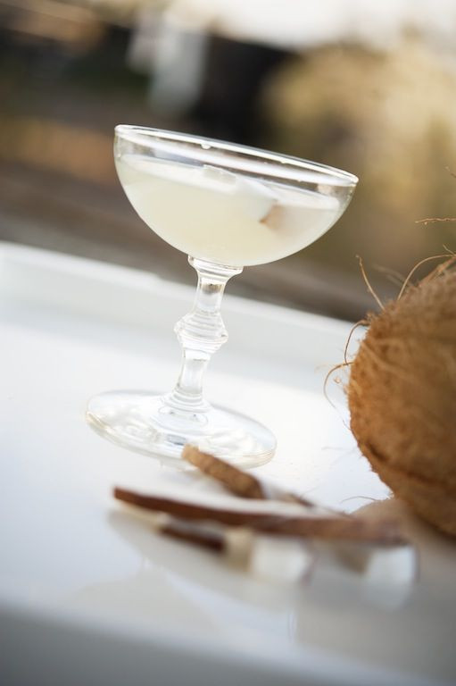 Coconut Water Drink Recipes
 Ocean Vodka & Coconut Water