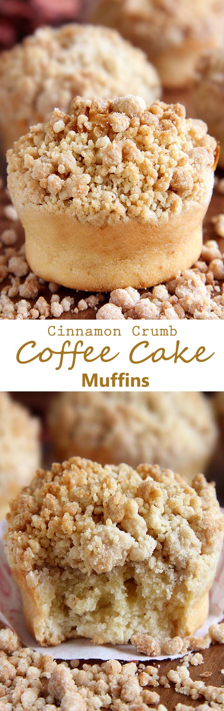 Coffee Cake Muffins
 Cinnamon Crumb Coffee Cake Muffins Sugar Apron