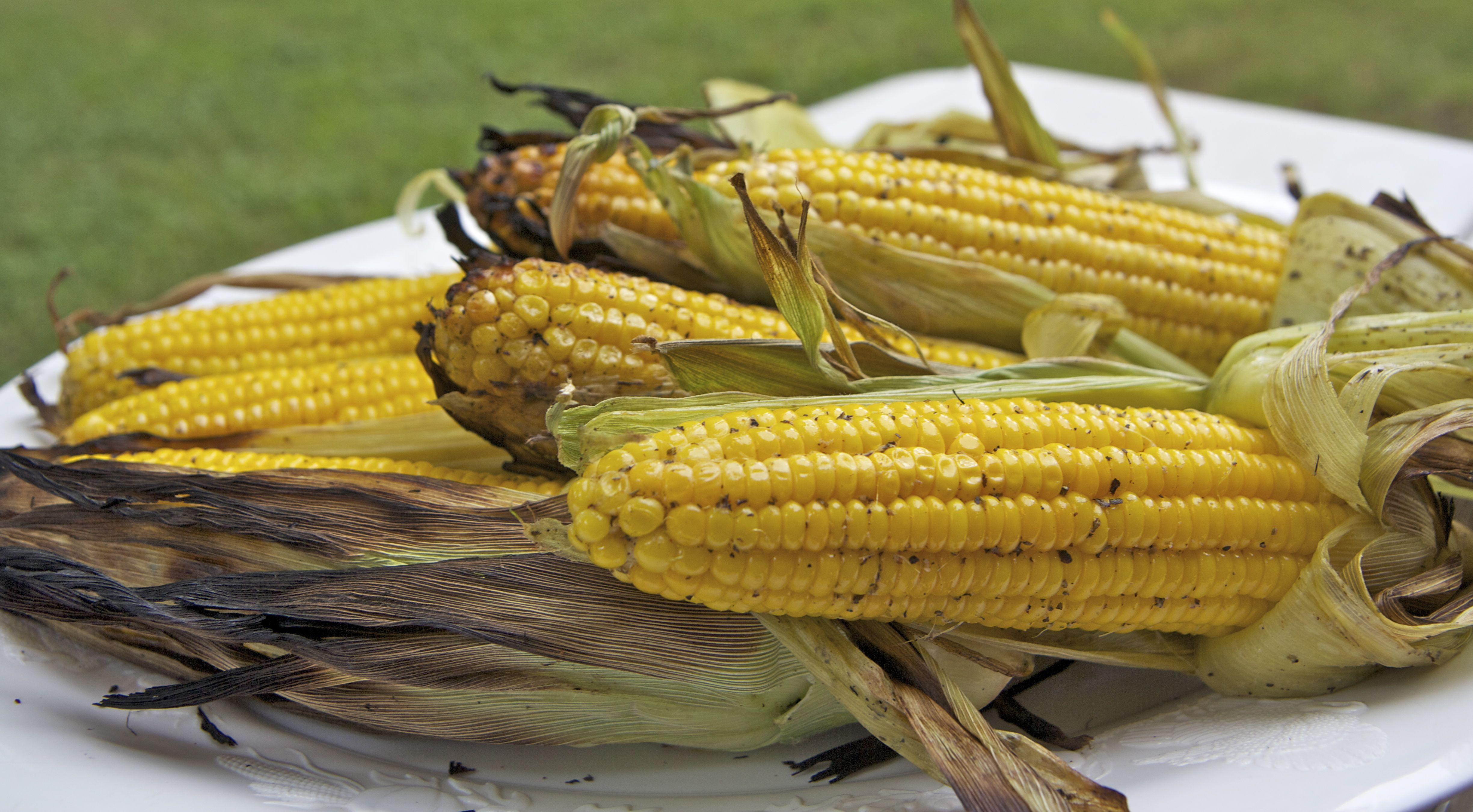 Cooking Corn On The Cob On The Grill
 Grilled Corn on the Cob