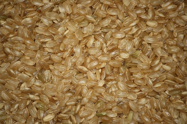 Cooking Short Grain Brown Rice
 Short Grain Brown Rice Texture – s Public Domain