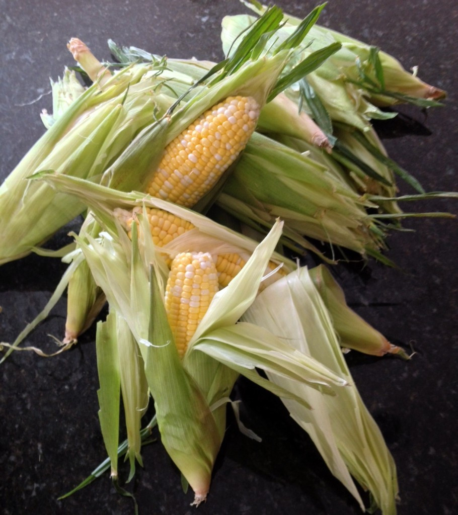 Corn In Husk On Grill
 Grilled in Husk Corn on the Cob