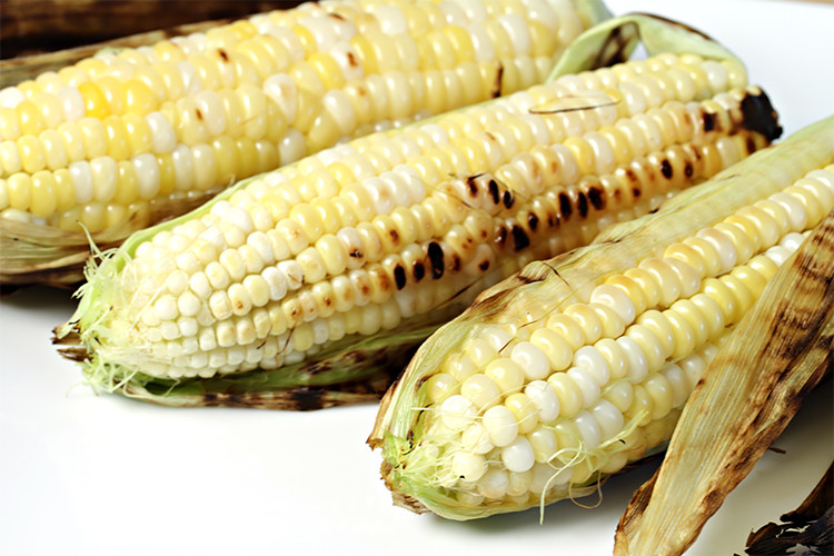 Corn In Husk On Grill
 In their husks grilled corn on the cob