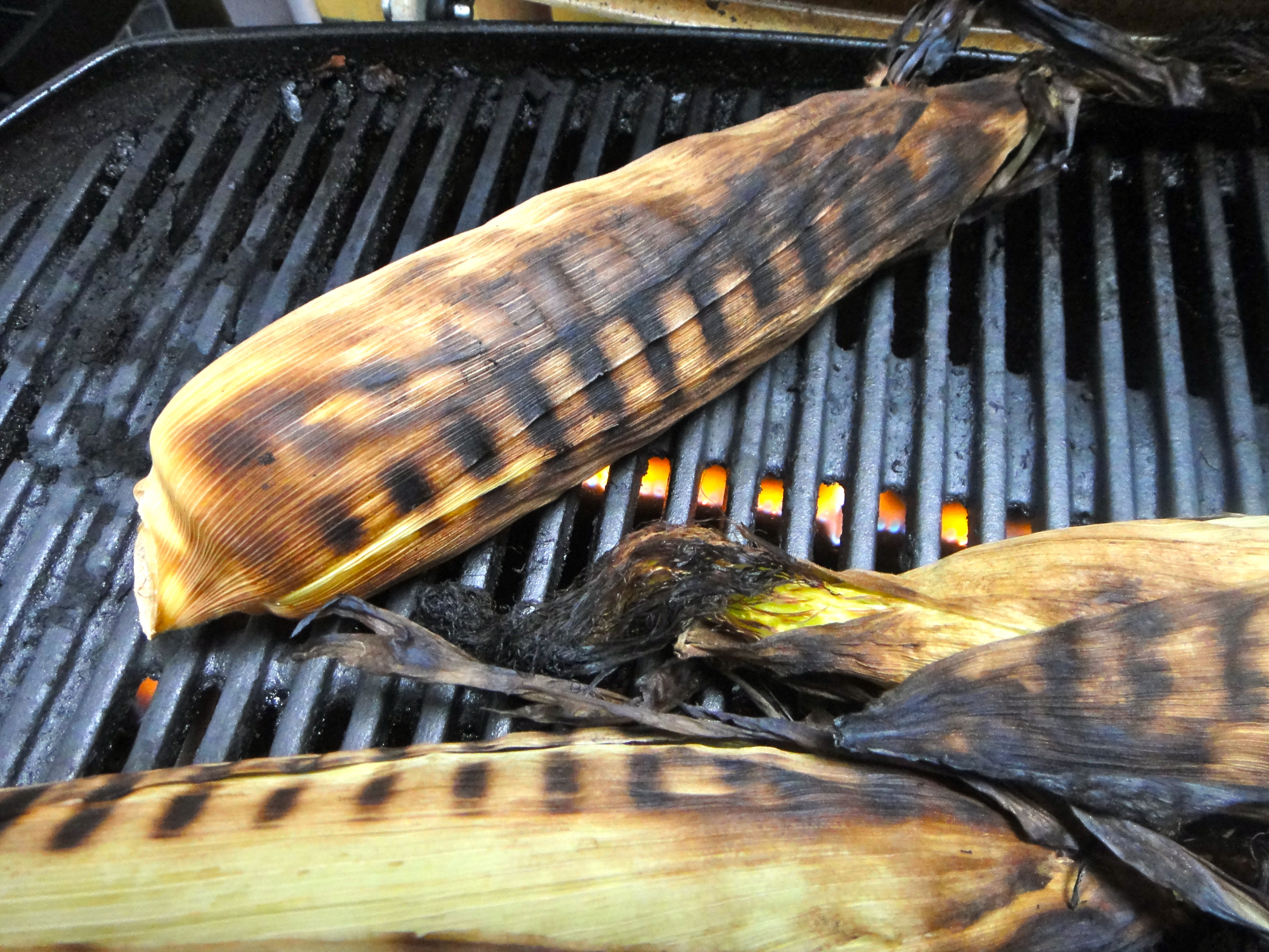 Corn In Husk On Grill
 Grilled Corn on the Cob The Daily Morsel