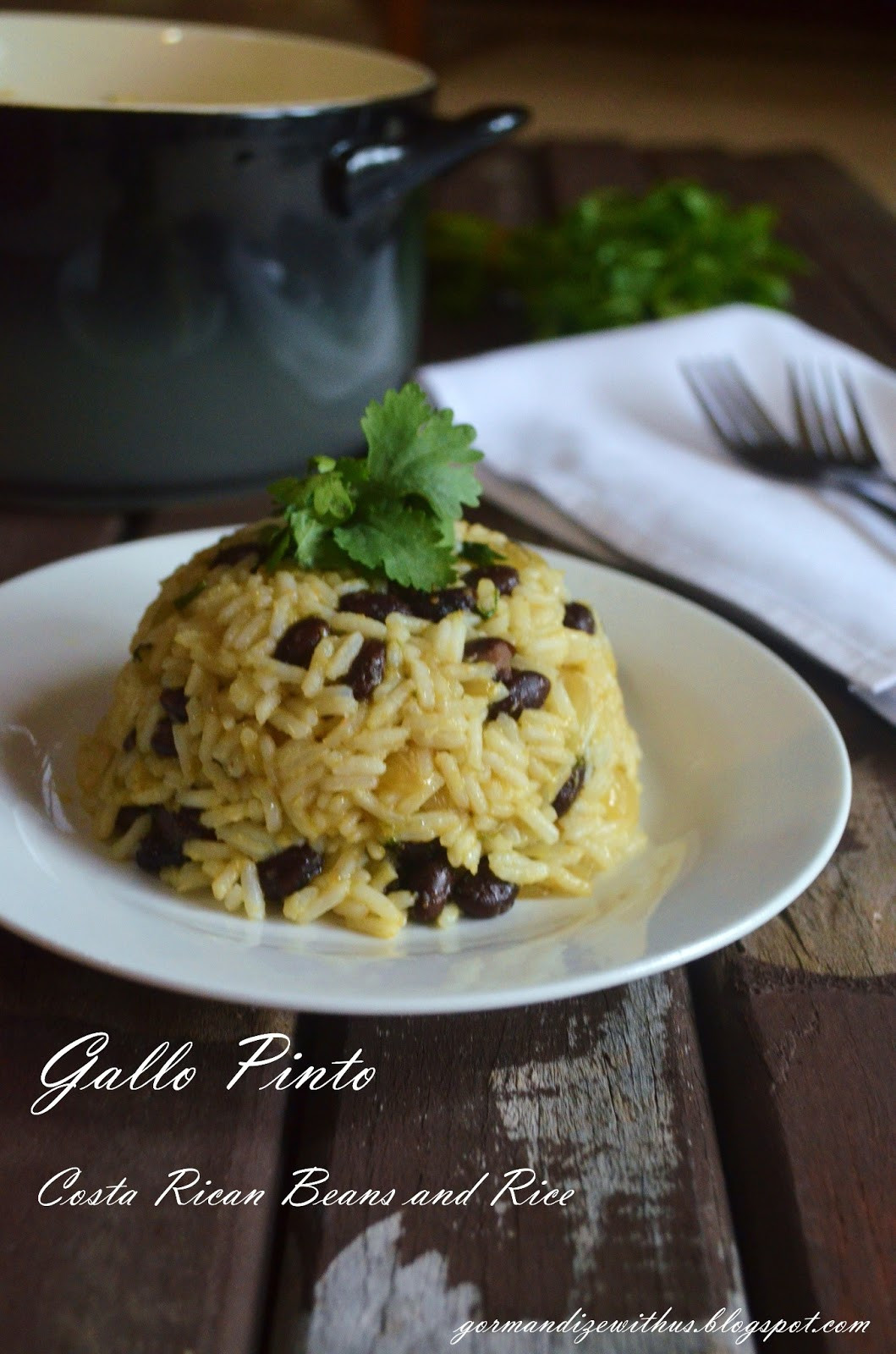 Costa Rican Rice And Beans
 Gormandize Gallo Pinto Costa Rican Beans and Rice