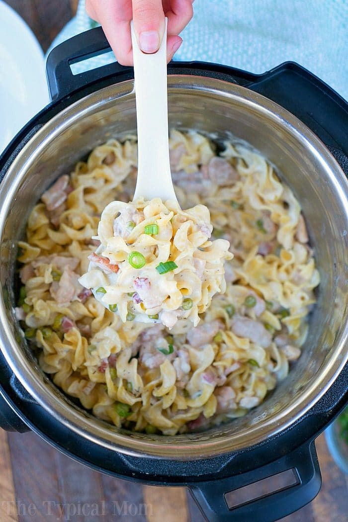 Crack Chicken Casserole
 Instant Pot Crack Chicken Casserole · The Typical Mom