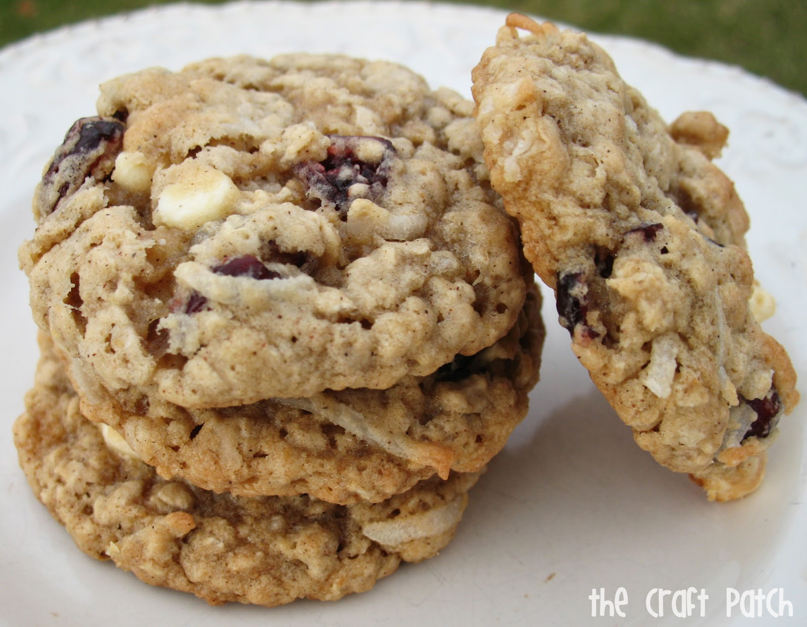 Cranberry Oatmeal Cookies
 The Craft Patch Cranberry Oatmeal Cookies