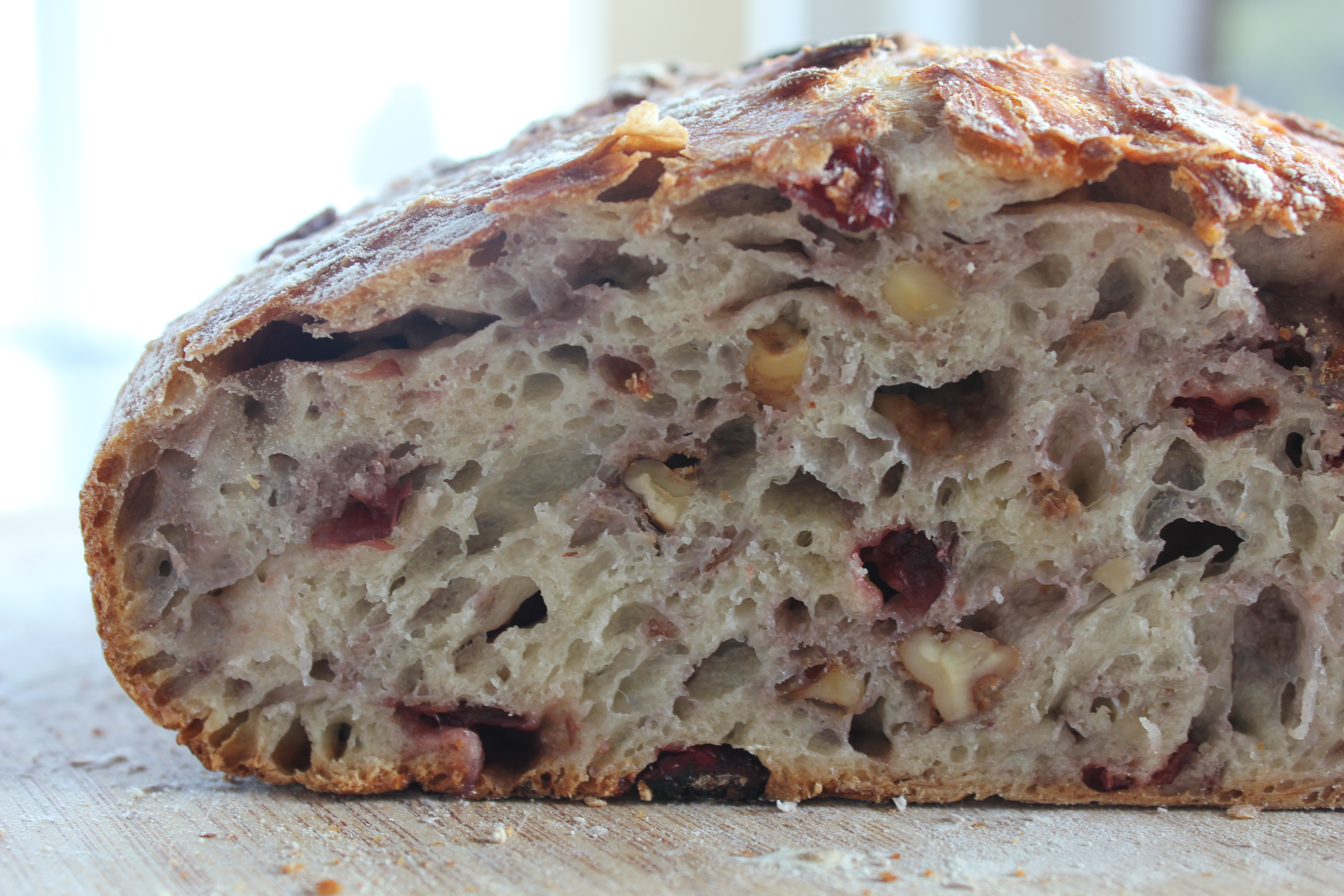 Cranberry Walnut Bread
 whole grain cranberry walnut bread