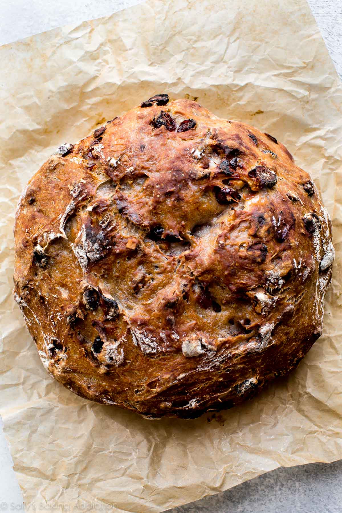 Cranberry Walnut Bread
 No Knead Crusty Cranberry Nut Bread Sallys Baking Addiction