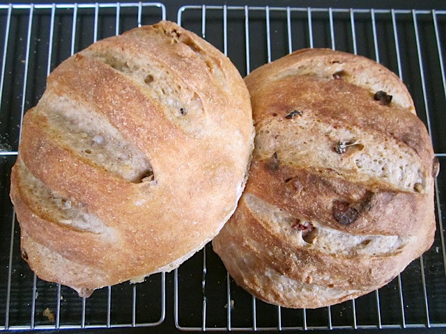 Cranberry Walnut Bread
 whole grain cranberry walnut bread