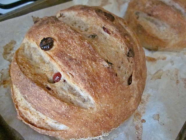 Cranberry Walnut Bread
 Cranberry Walnut Bread Bud Bytes