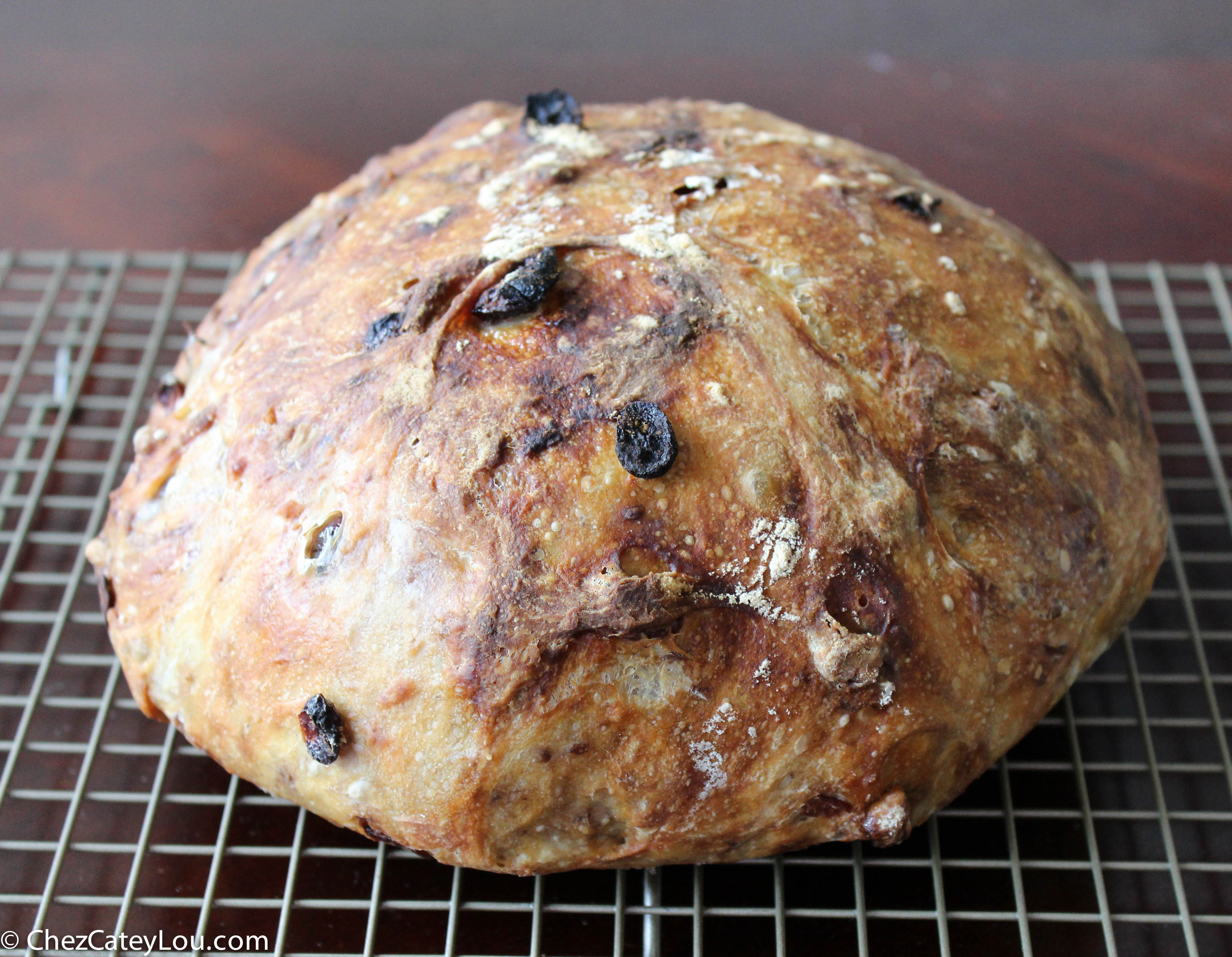 Cranberry Walnut Bread
 No Knead Cranberry Walnut Bread Chez CateyLou