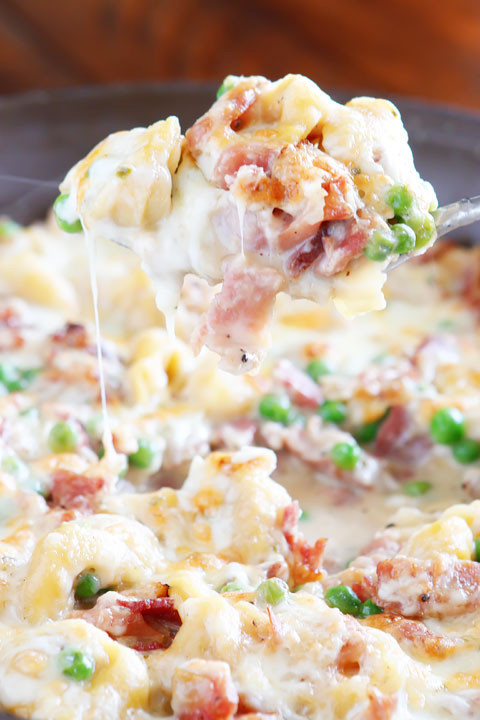 Cream Cheese Dinner Recipes
 Ham & Cheese Tortellini