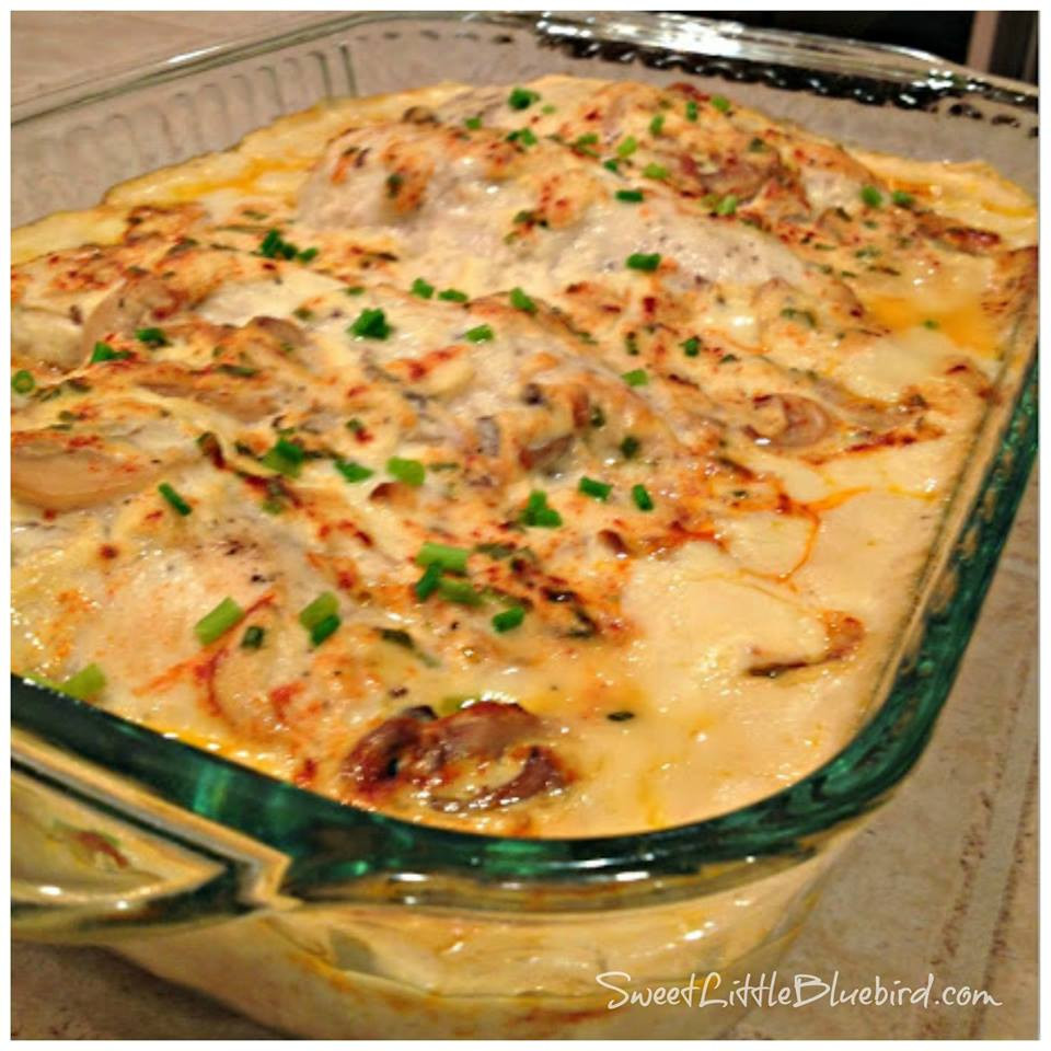 Cream Of Chicken Casserole
 Creamy Chicken Bake Sweet Little Bluebird