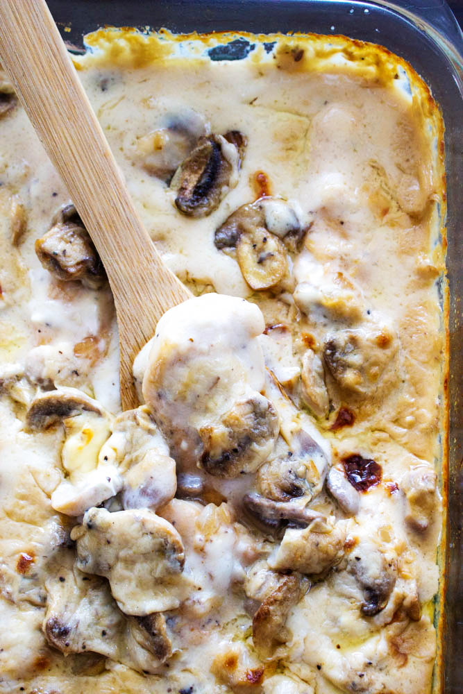 Creamy Chicken Casserole
 Creamy Chicken and Mushroom Casserole CentsLess Meals