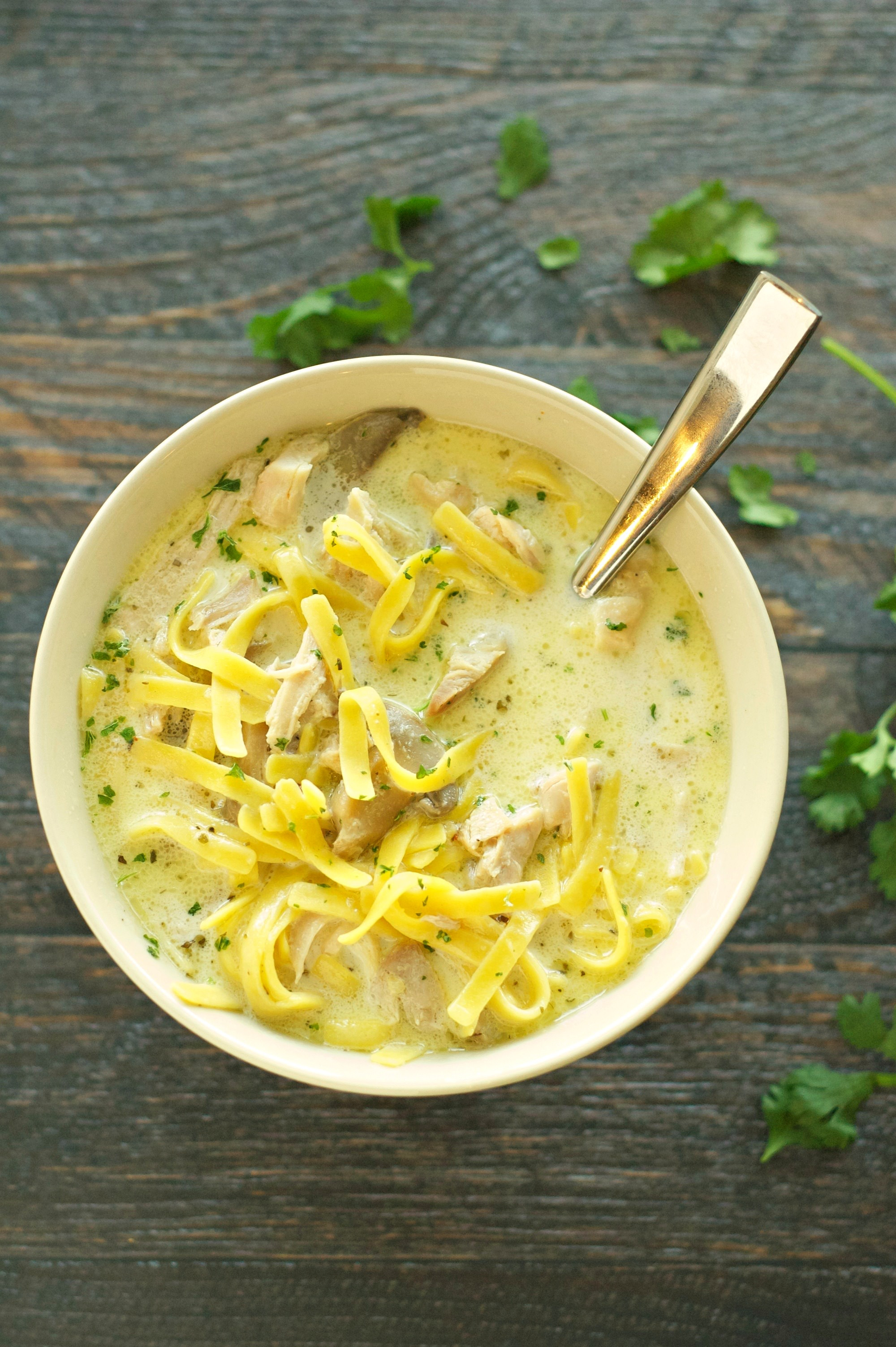 Creamy Chicken Noodle Soup
 Slow Cooker Creamy Chicken Noodle Soup Slow Cooker Gourmet