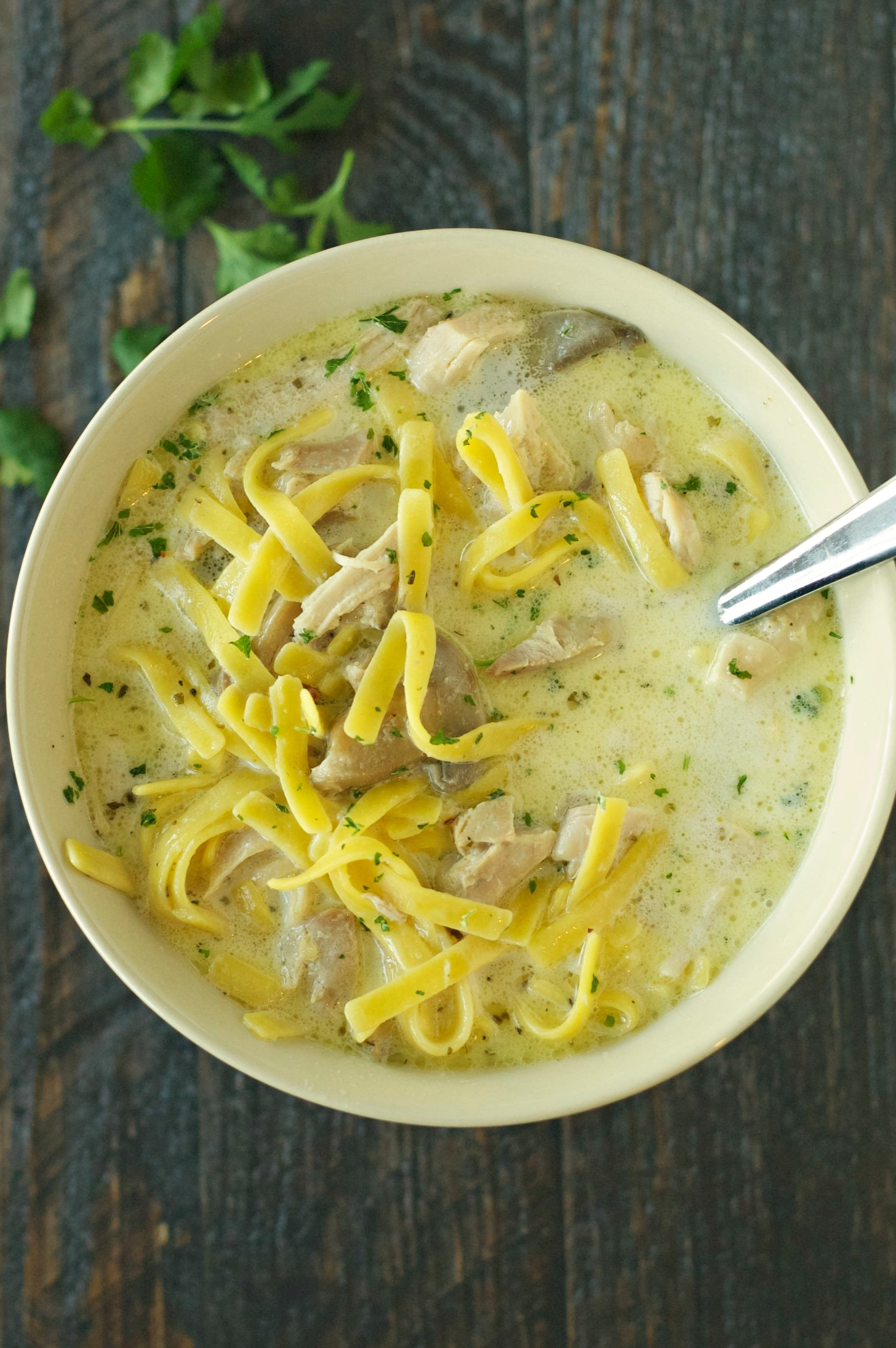 Creamy Chicken Noodle Soup
 Slow Cooker Creamy Chicken Noodle Soup Slow Cooker Gourmet