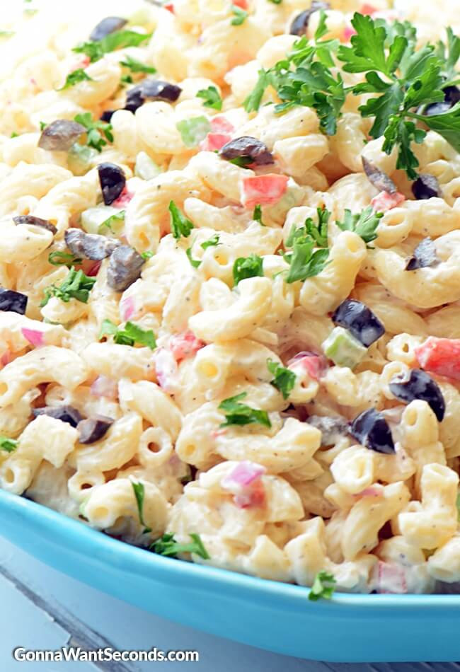 Creamy Pasta Salad Recipe
 creamy macaroni salad